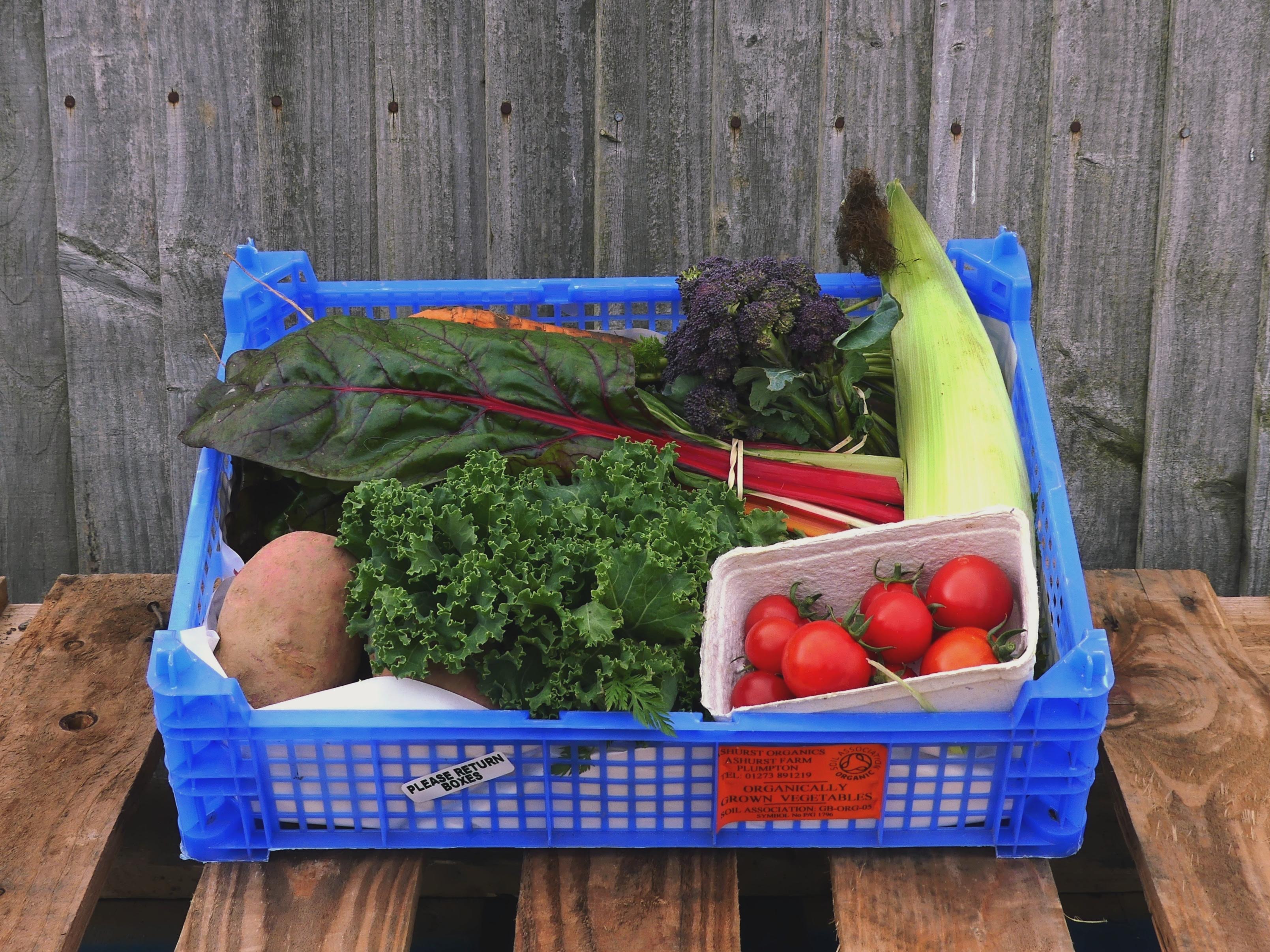 Image of Small Veg Box