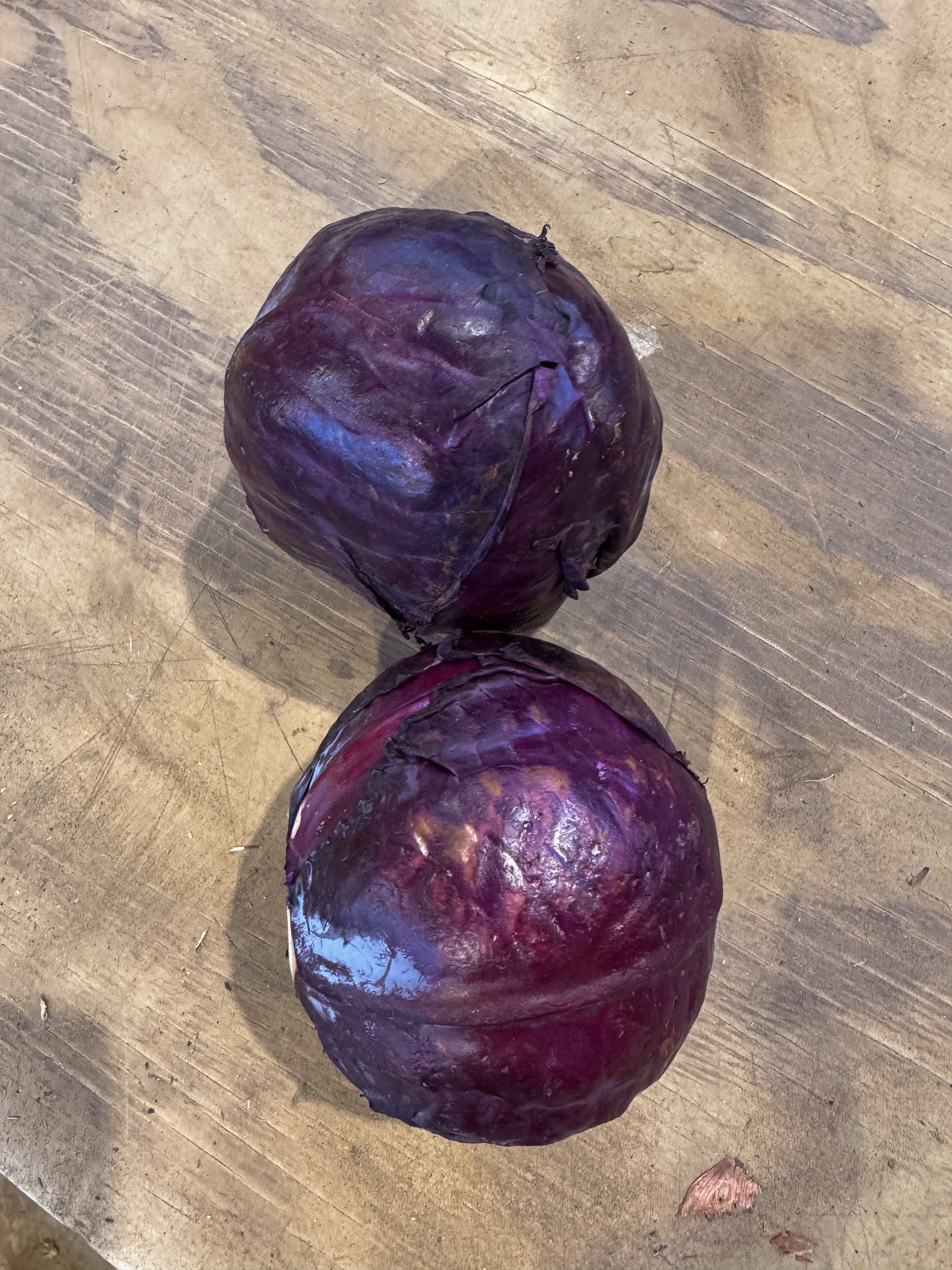 Red Cabbage
