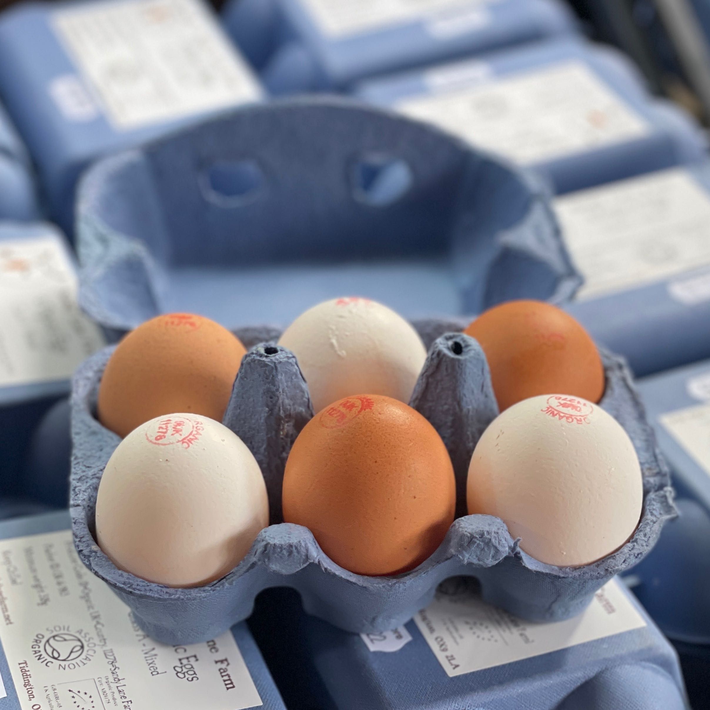Organic Eggs - Sandy Lane Farm