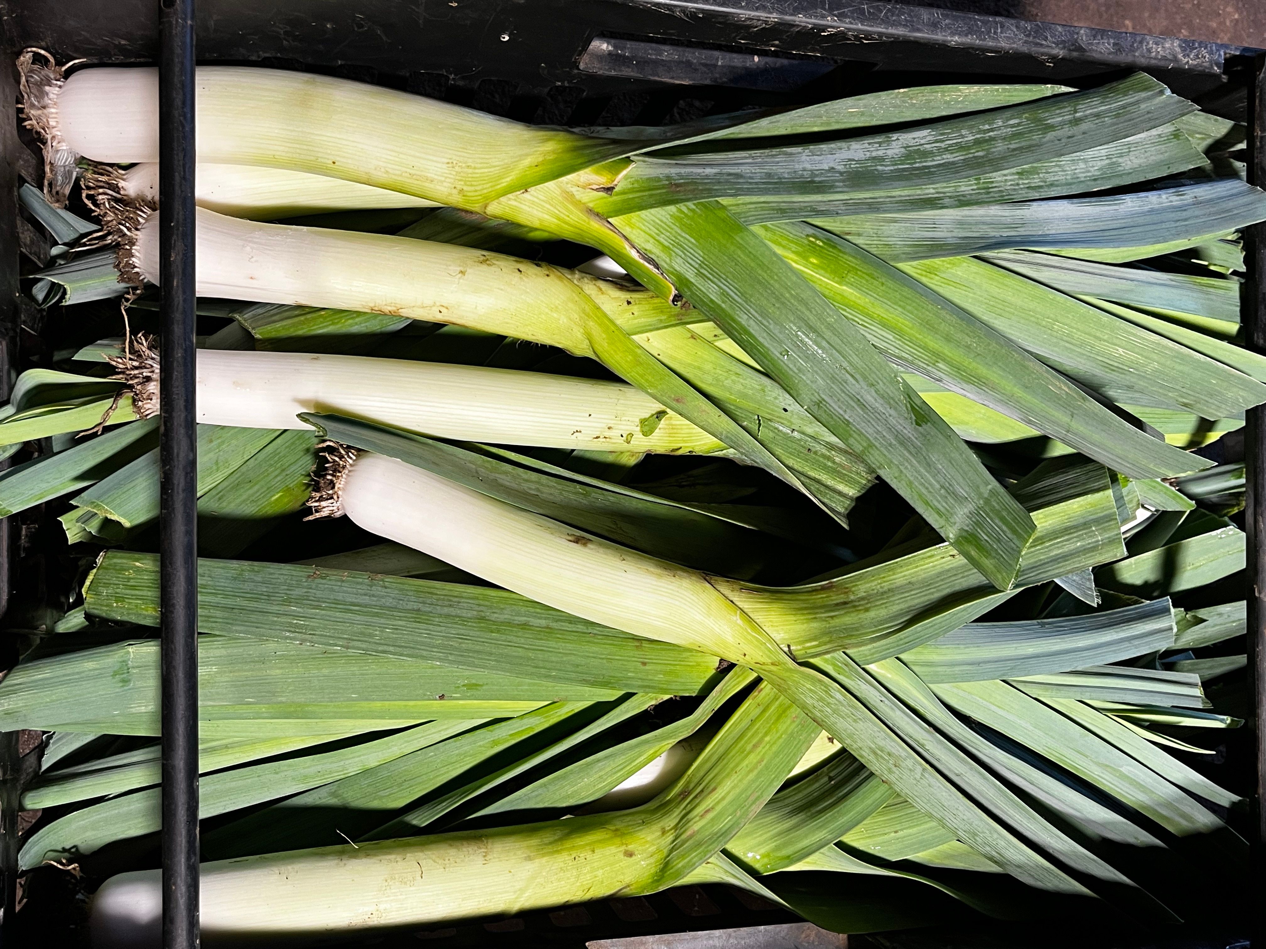 Leeks