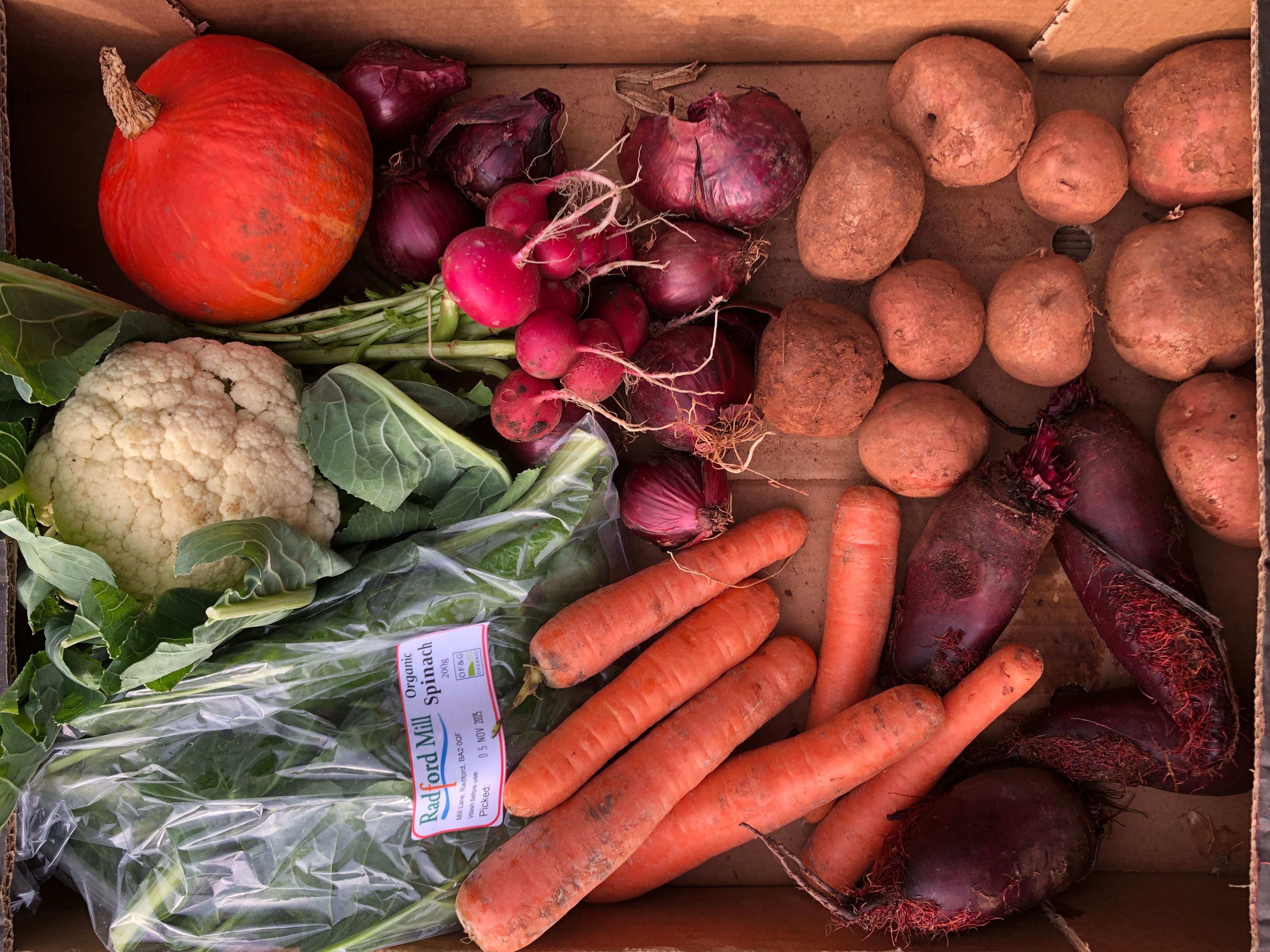 Medium Christmas Veg Box