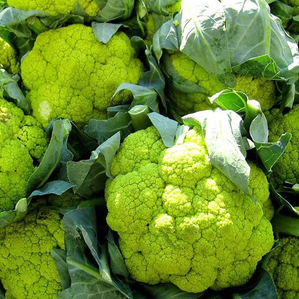 Image of Organic Green Emerald Cauliflower