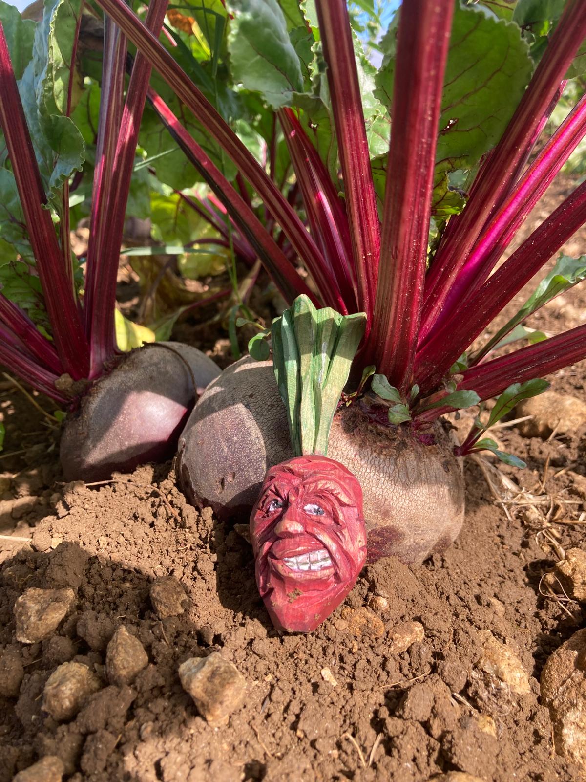 Image of Beetroot