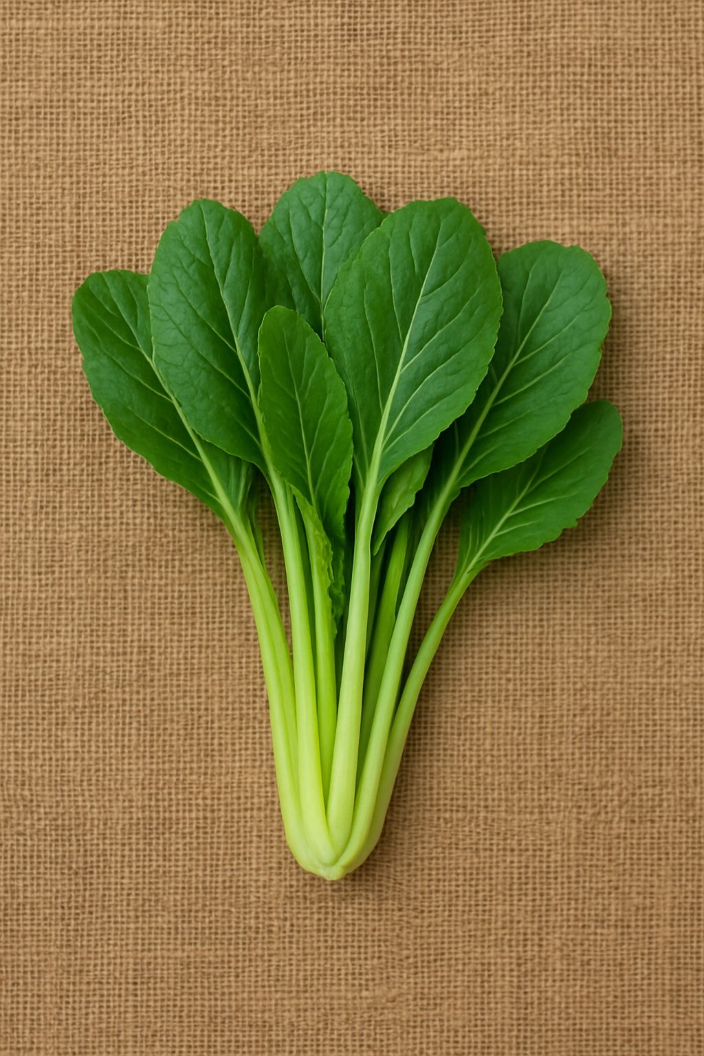PYO Komatsuna