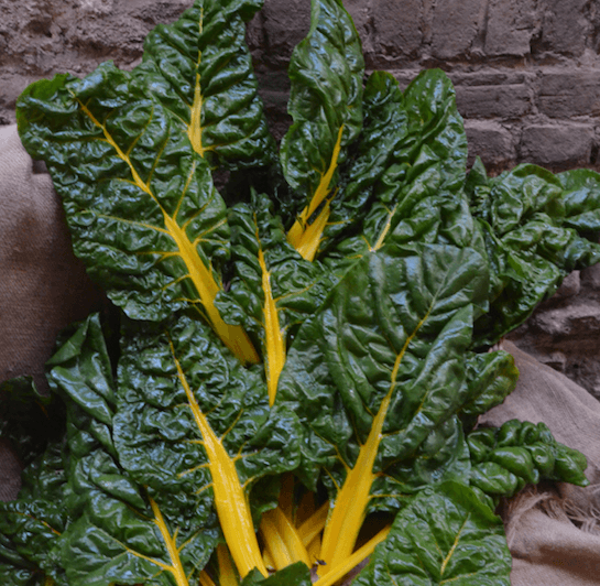 Chard