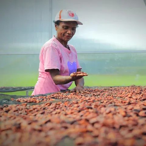 Image of Darkroom Chocolate - Indonesia