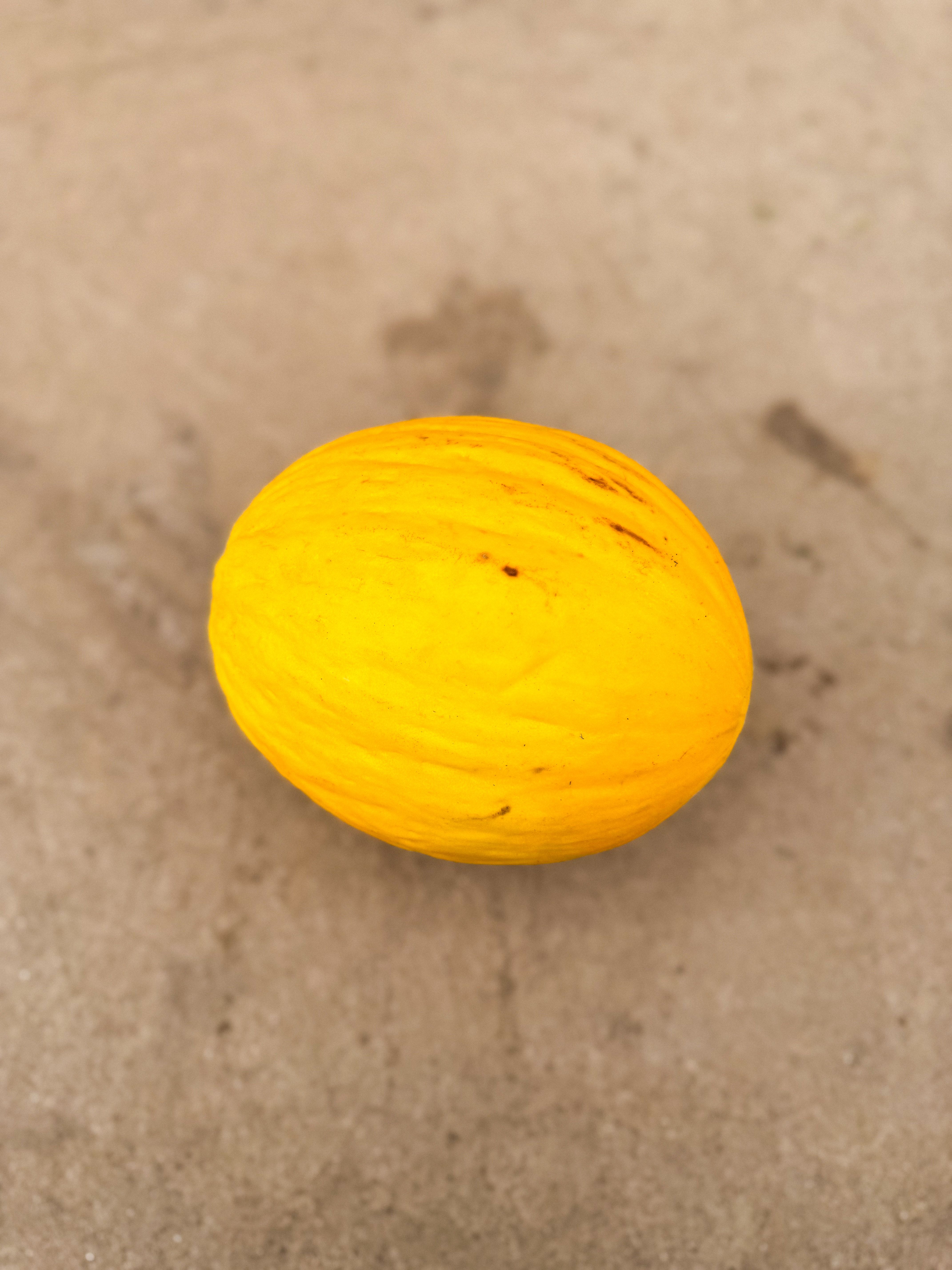 Melon (Honeydew)