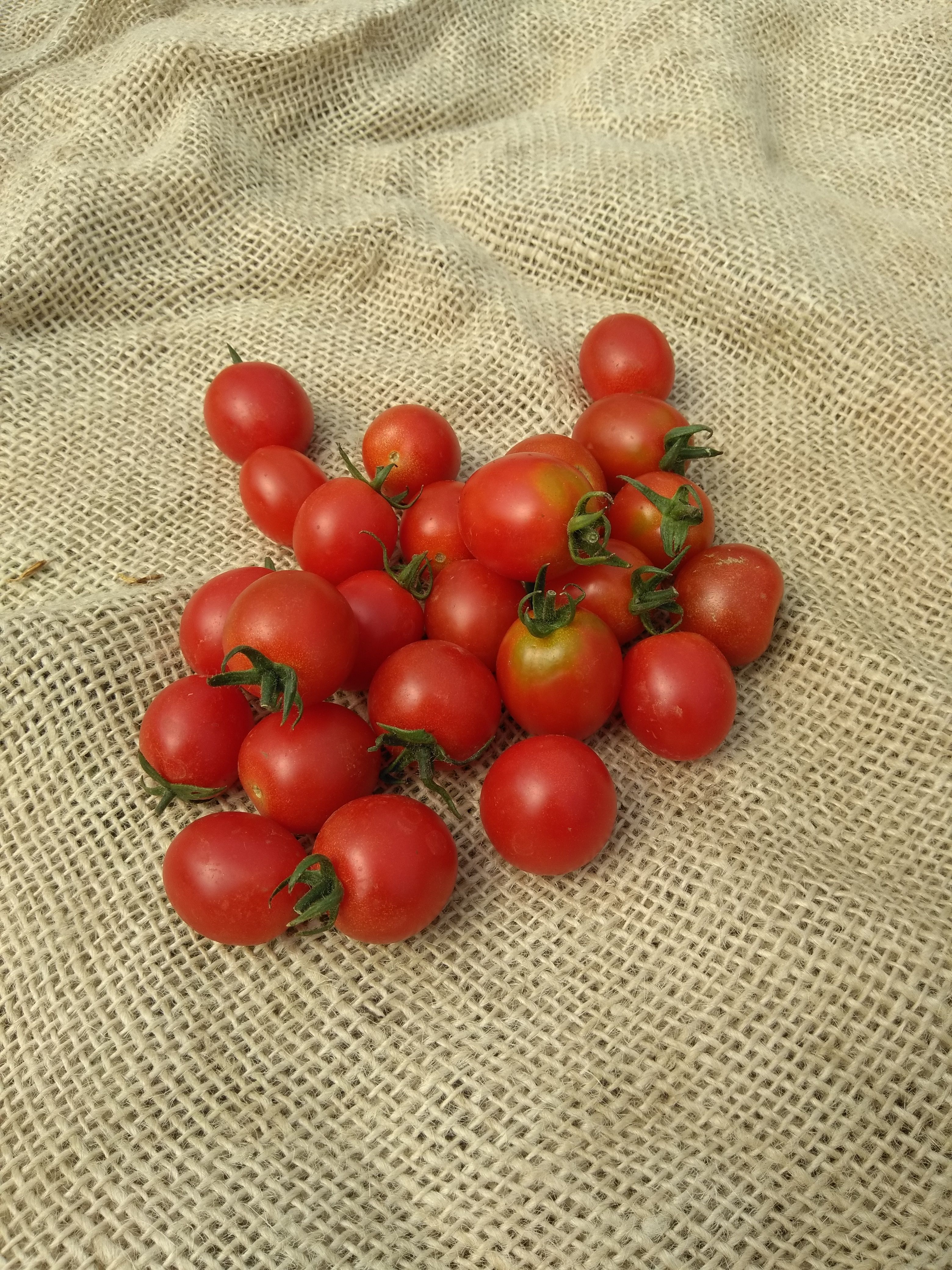 Image of Tomato and Coconut Cassoulet