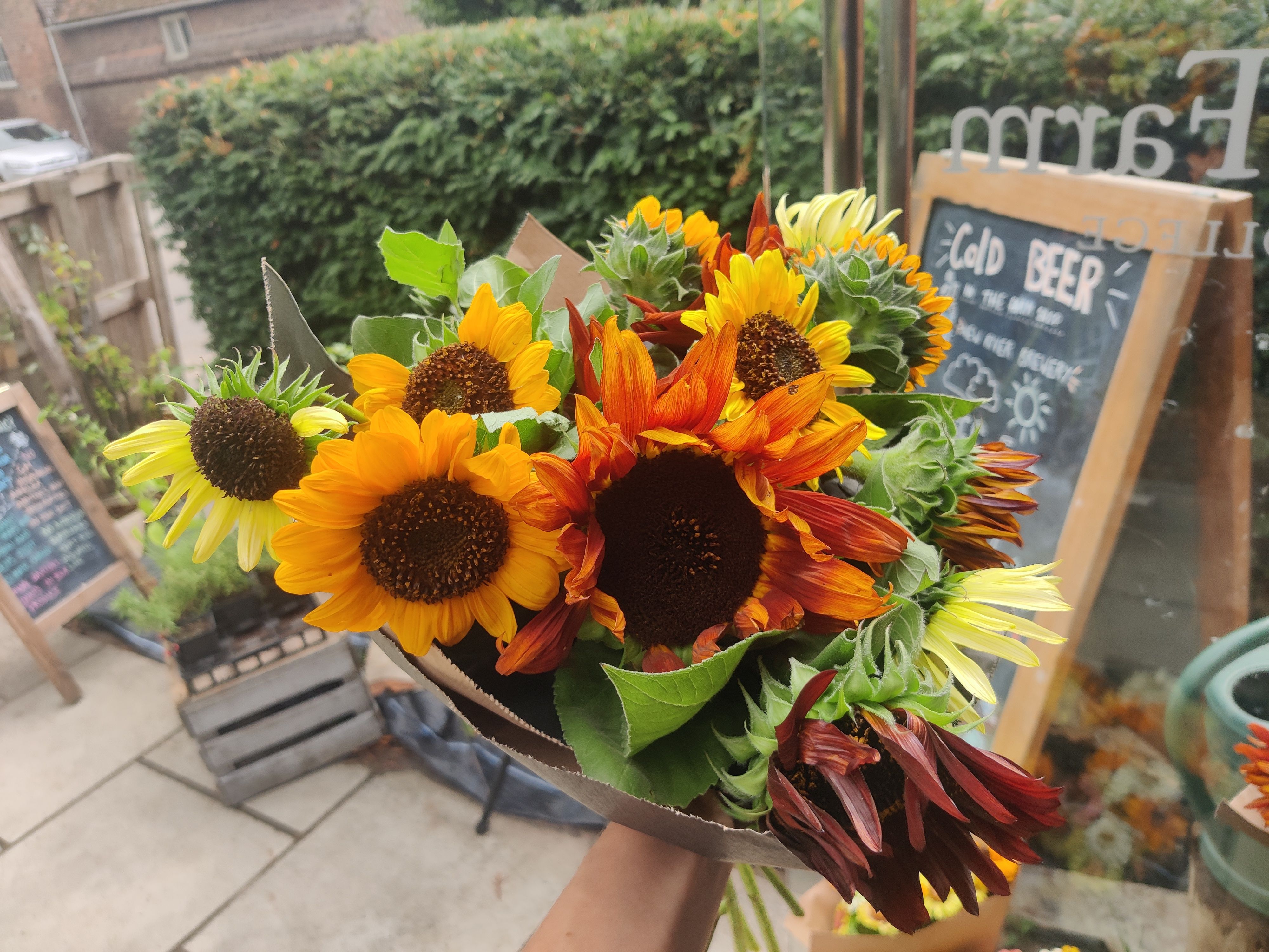 Image of Sunflowers