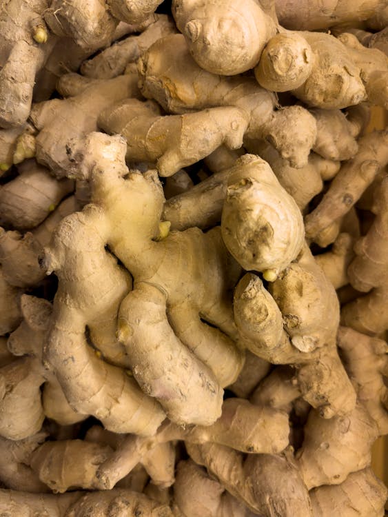 Image of Ginger