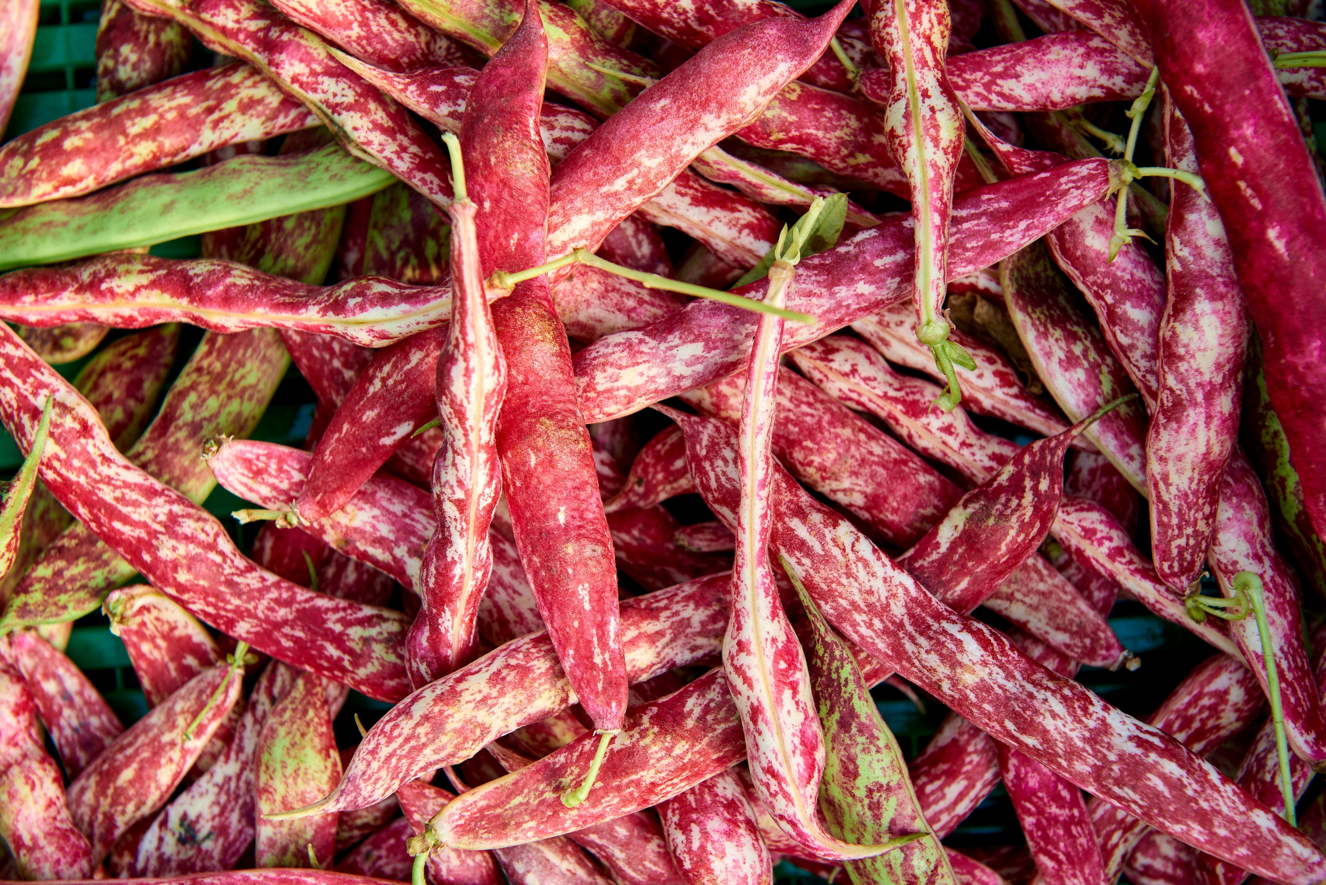 Image of A guide to our packaging