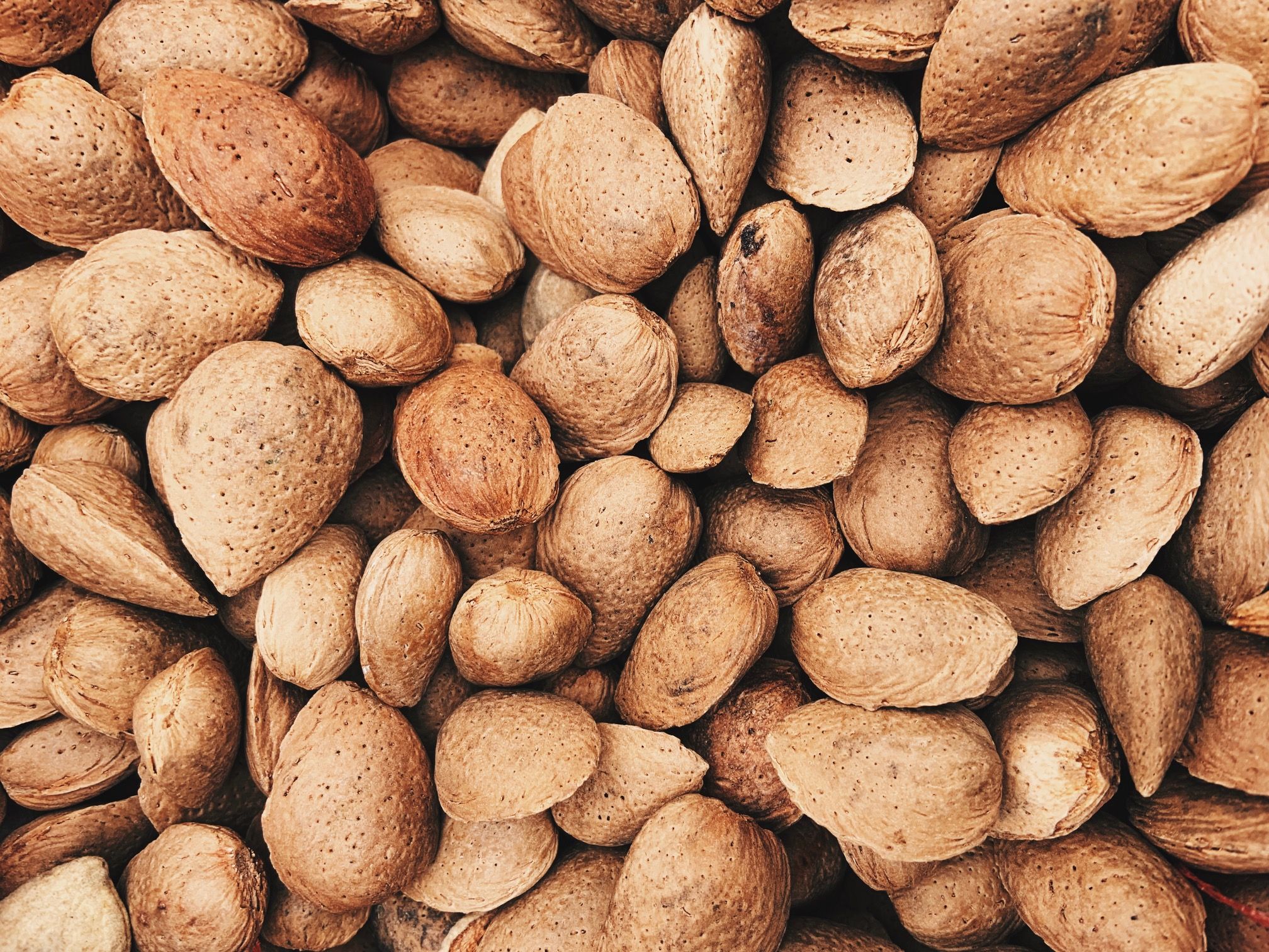 Image of Almonds