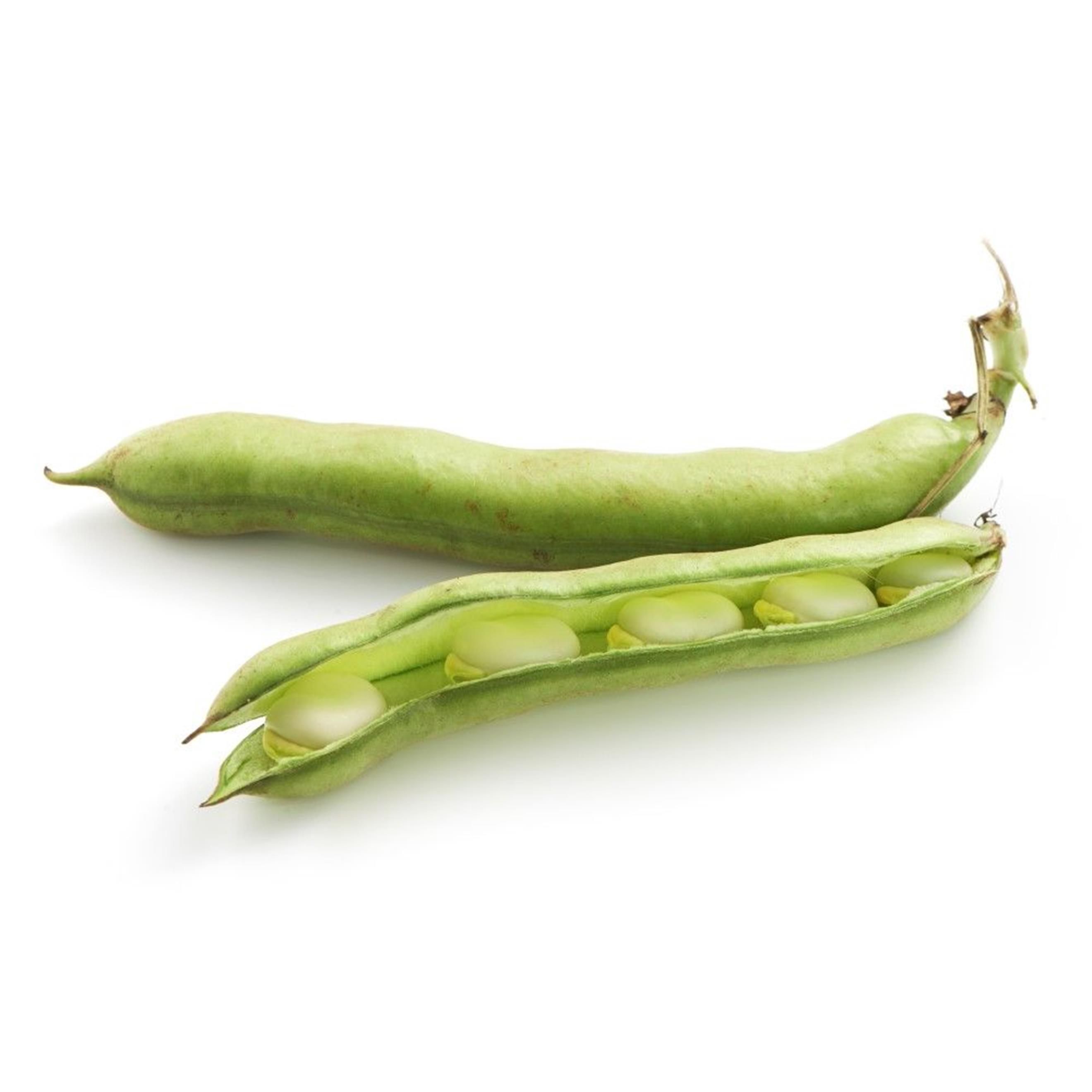 Image of Organic Broad Beans