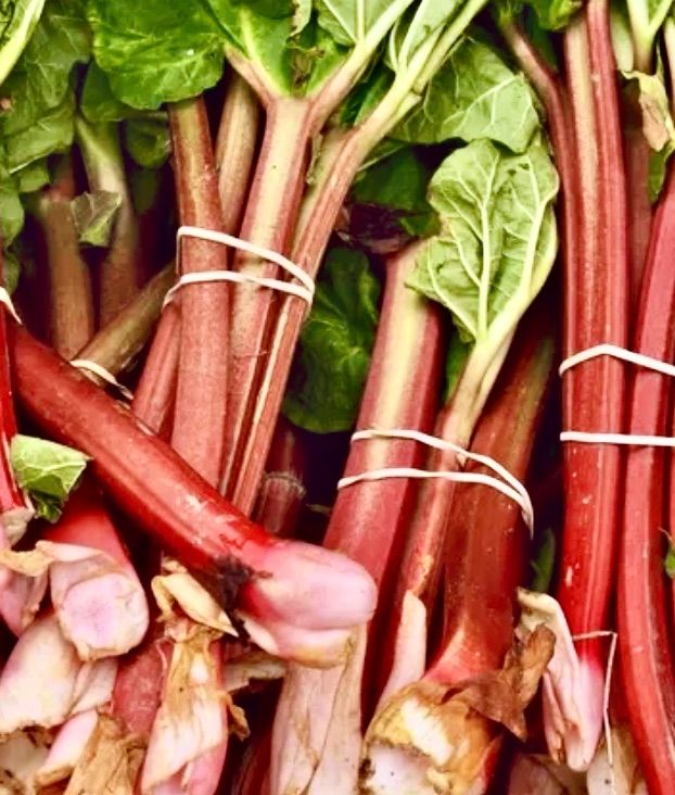 Rhubarb