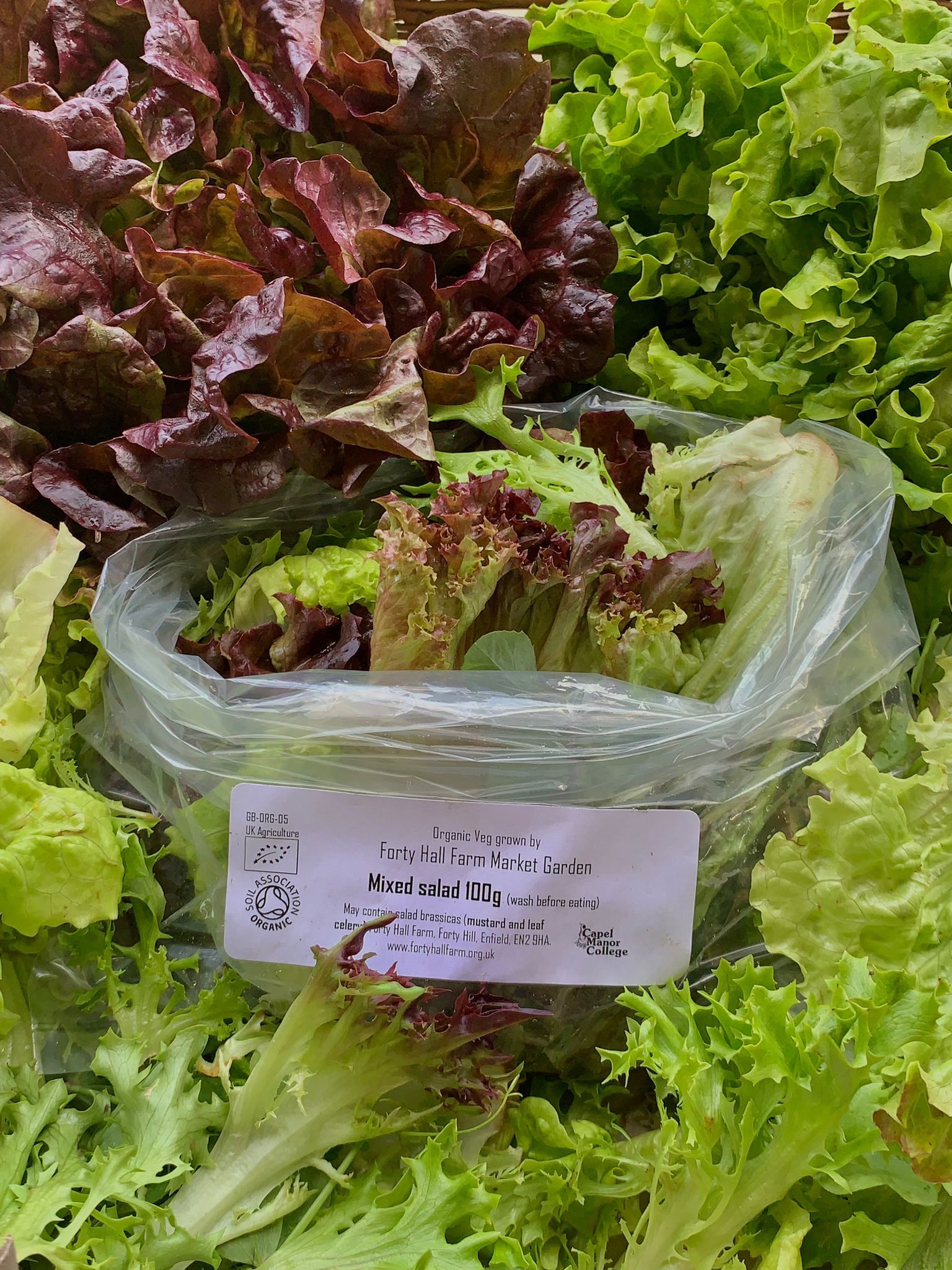 Image of Mixed Salad 200g (Forty Hall Farm)