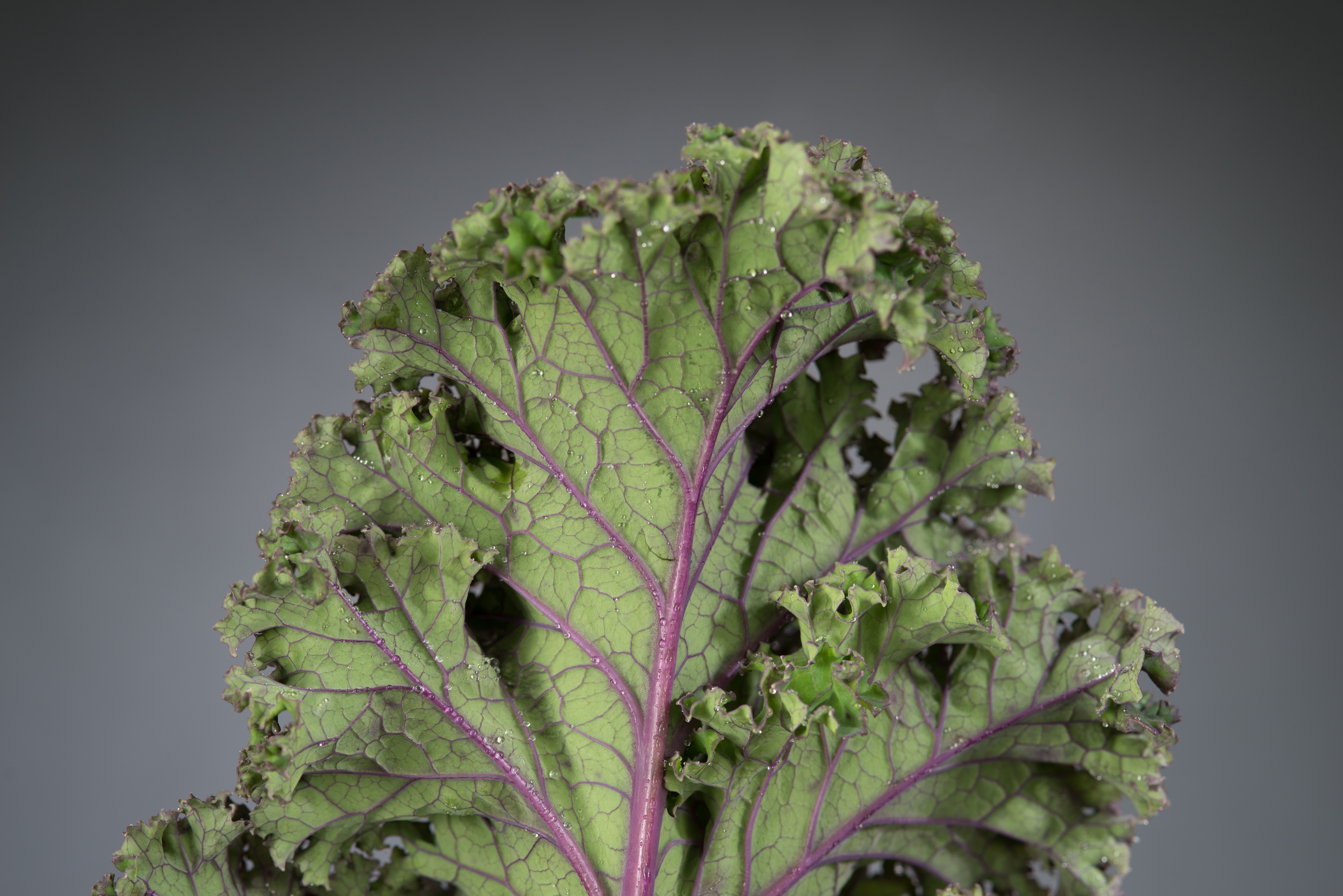 Image of How ordering works