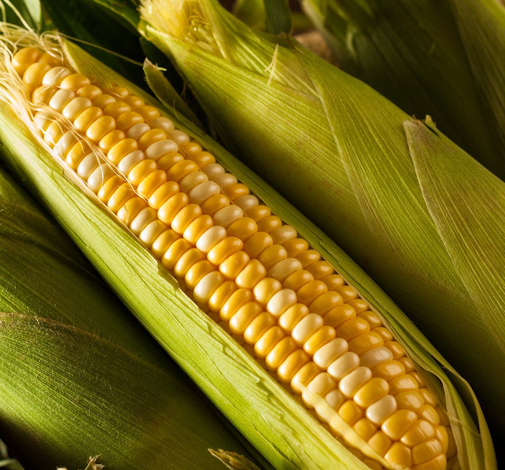 Sweetcorn (Foskett's, Suffolk)