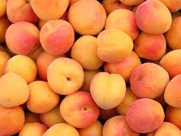 PYO Apricots