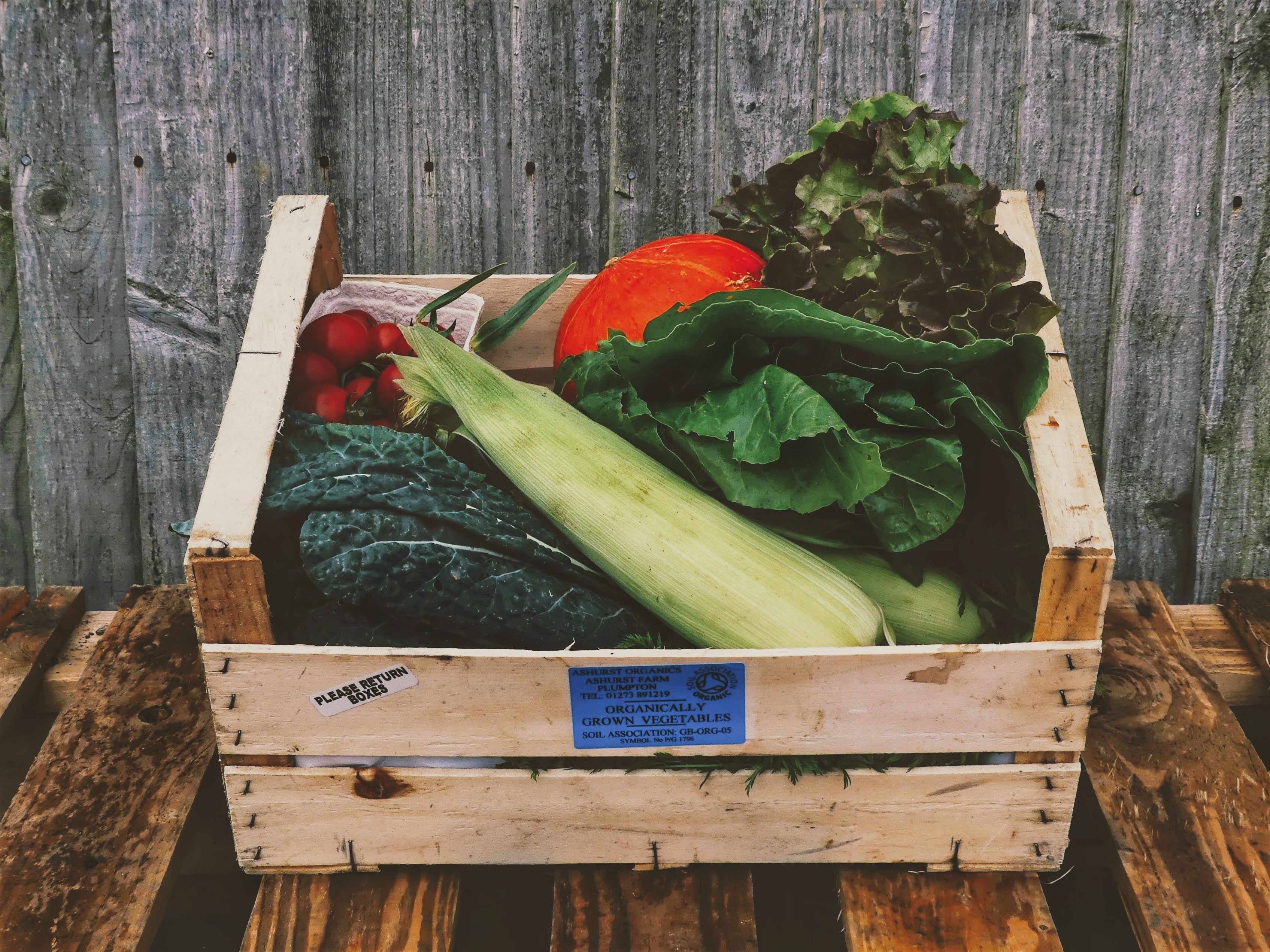 Image of Medium Veg Box