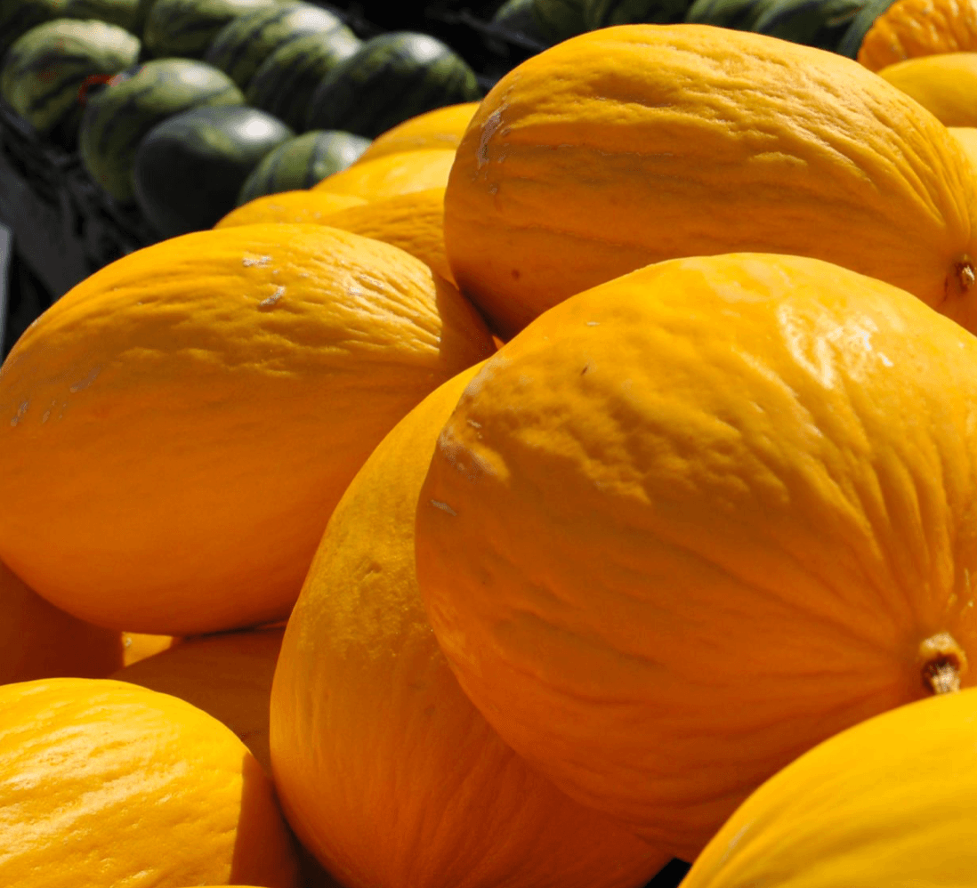 Melon, Canary