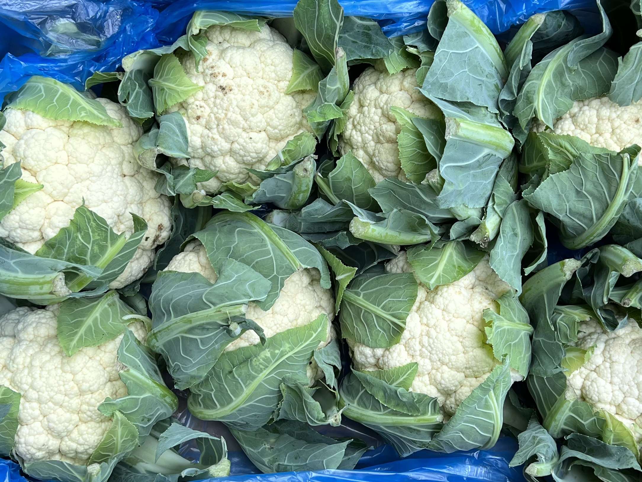 Cauliflower