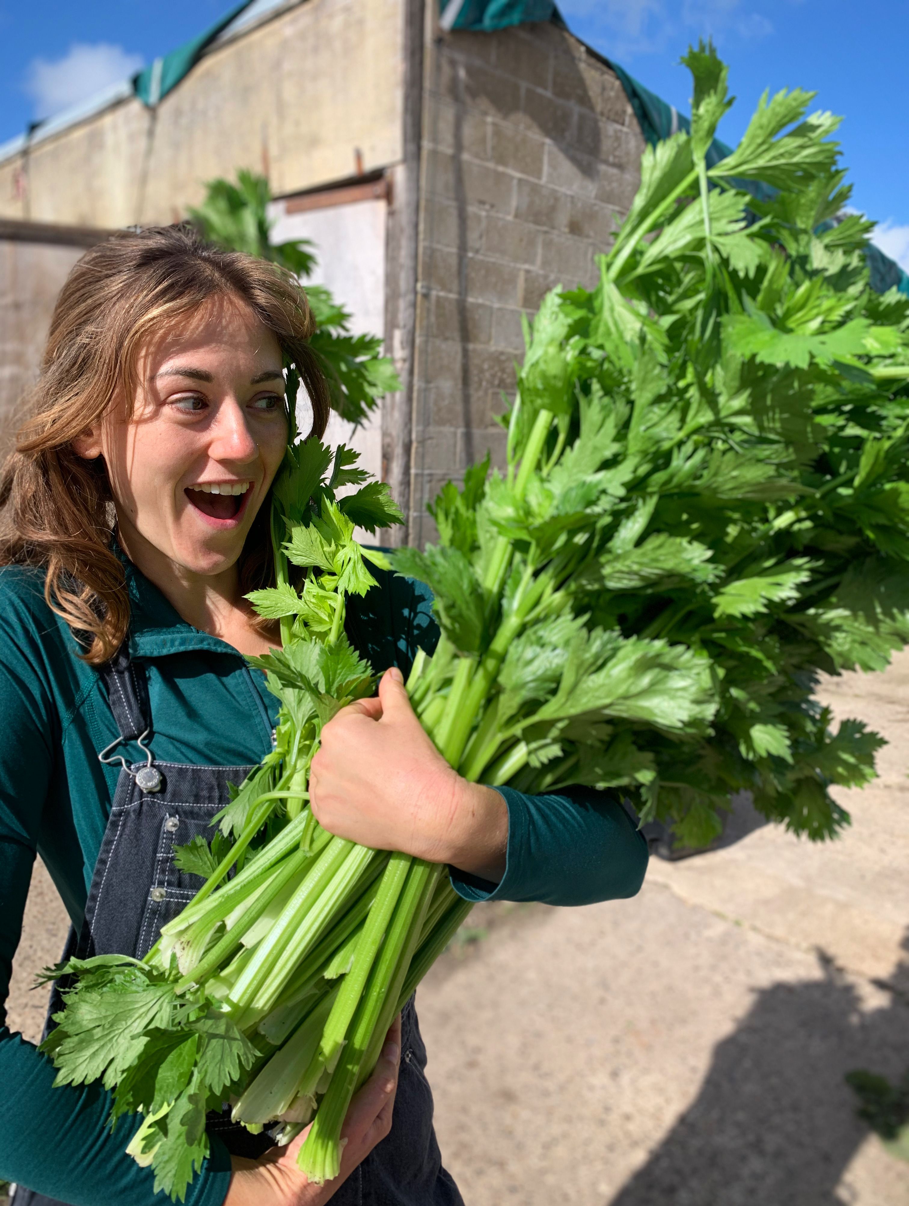 Image of Goodery Vouchers