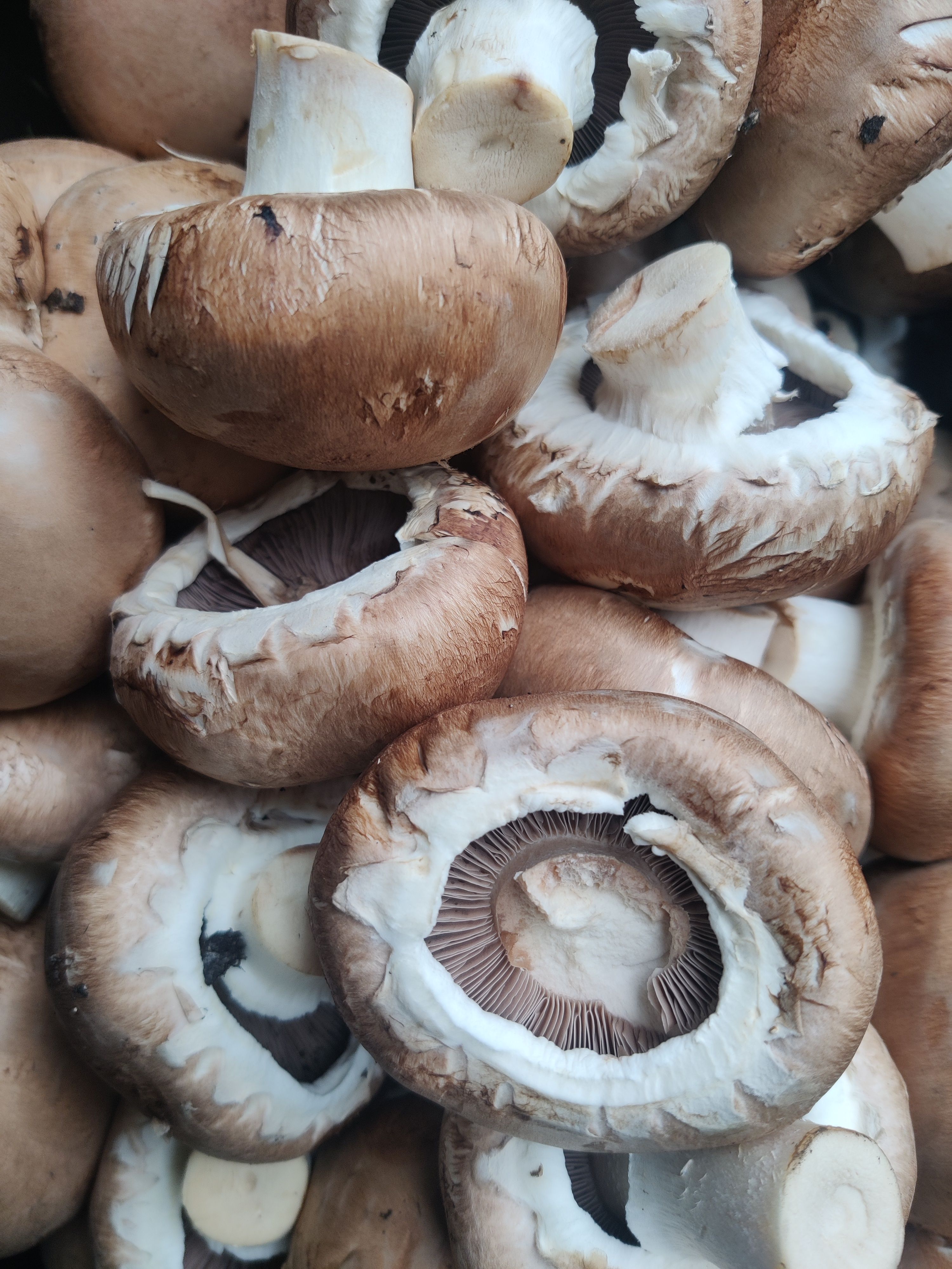 Image of Mouthwatering Stuffed Mushrooms