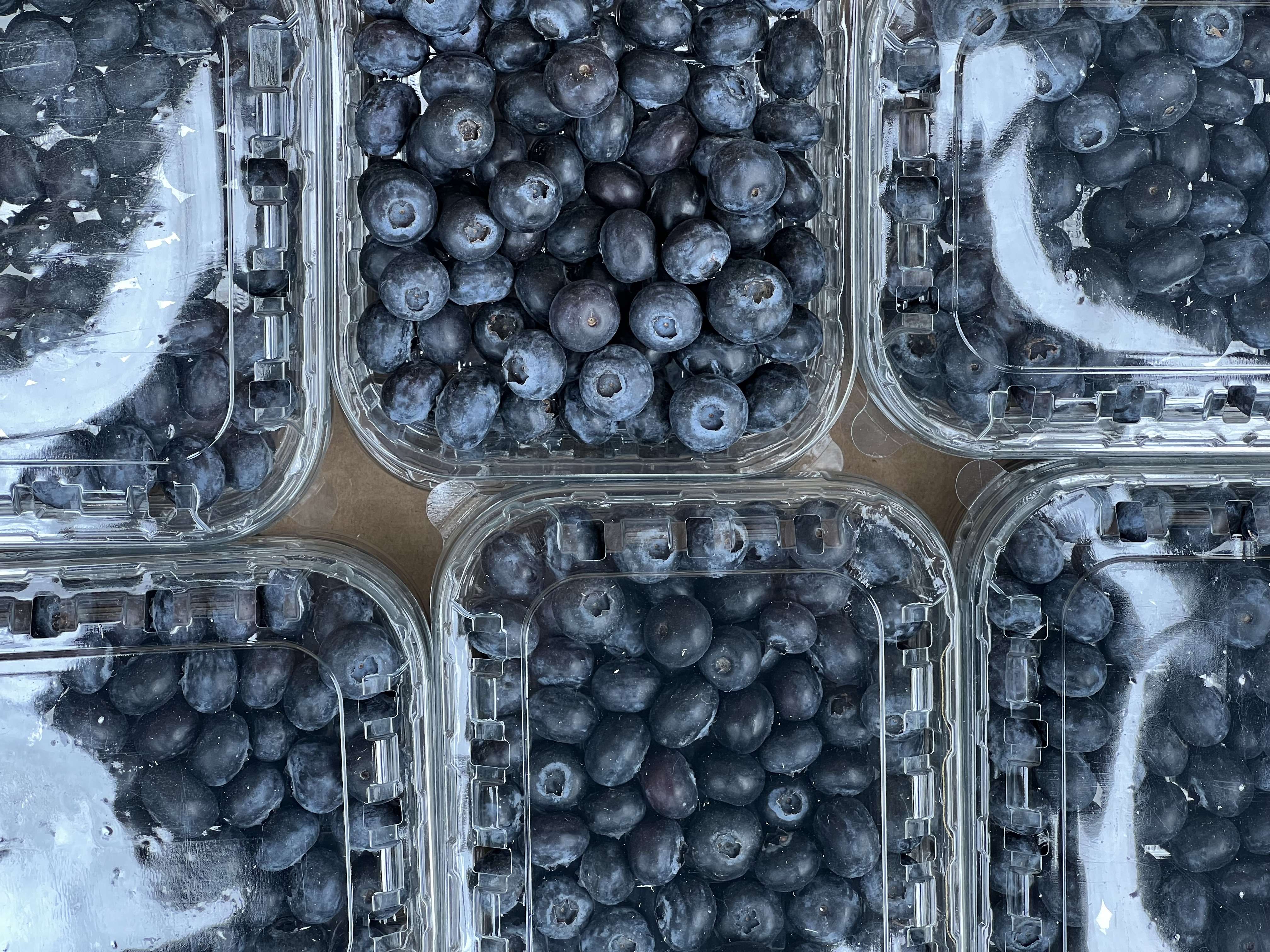 Blueberries