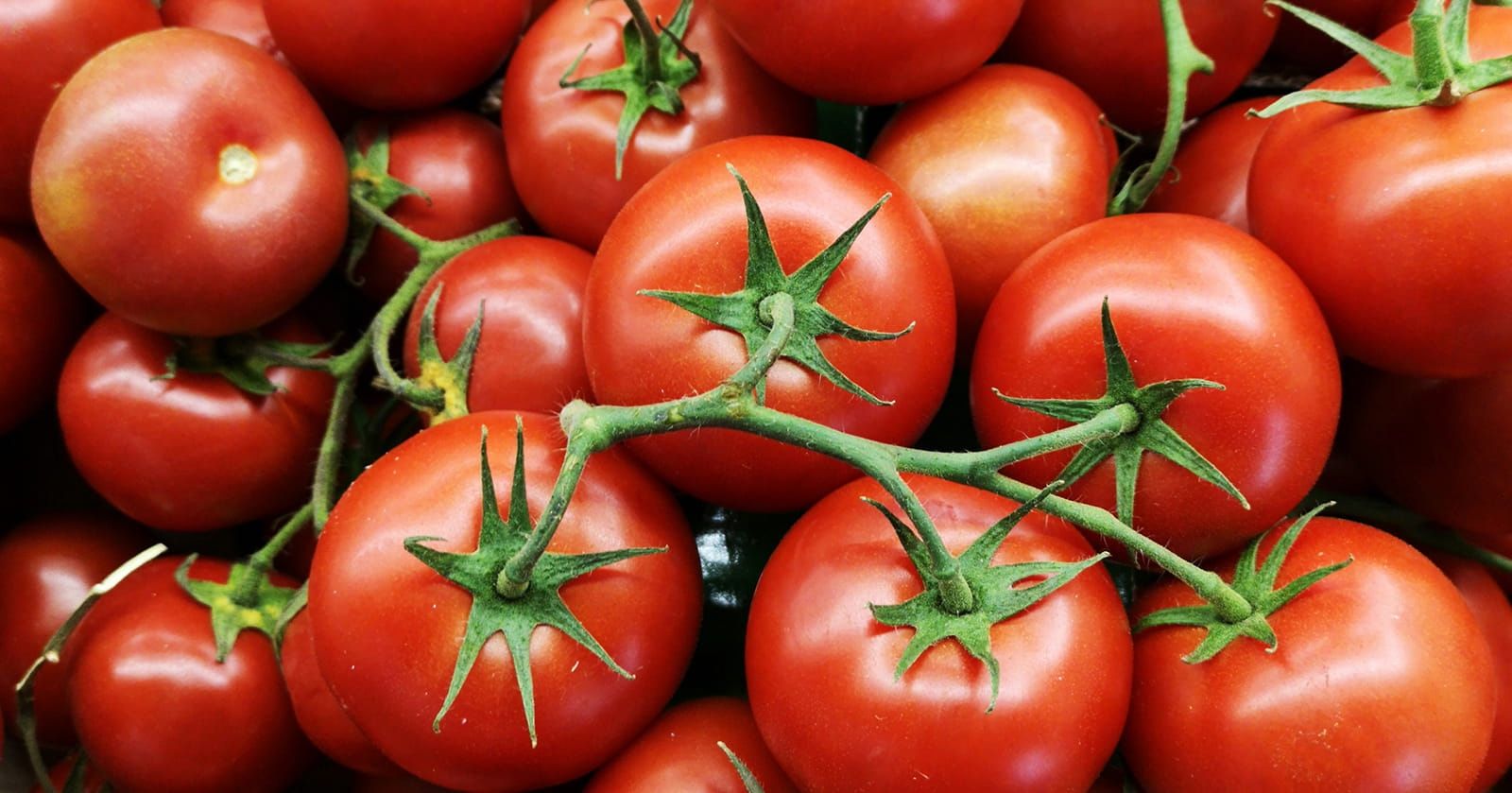 Image of Tomato, Vine/Roma (500g)
