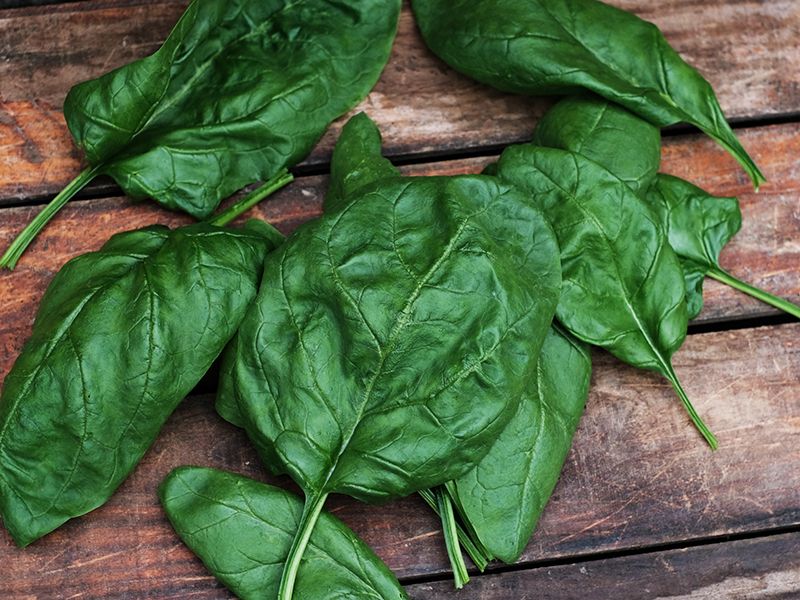 Image of True Spinach