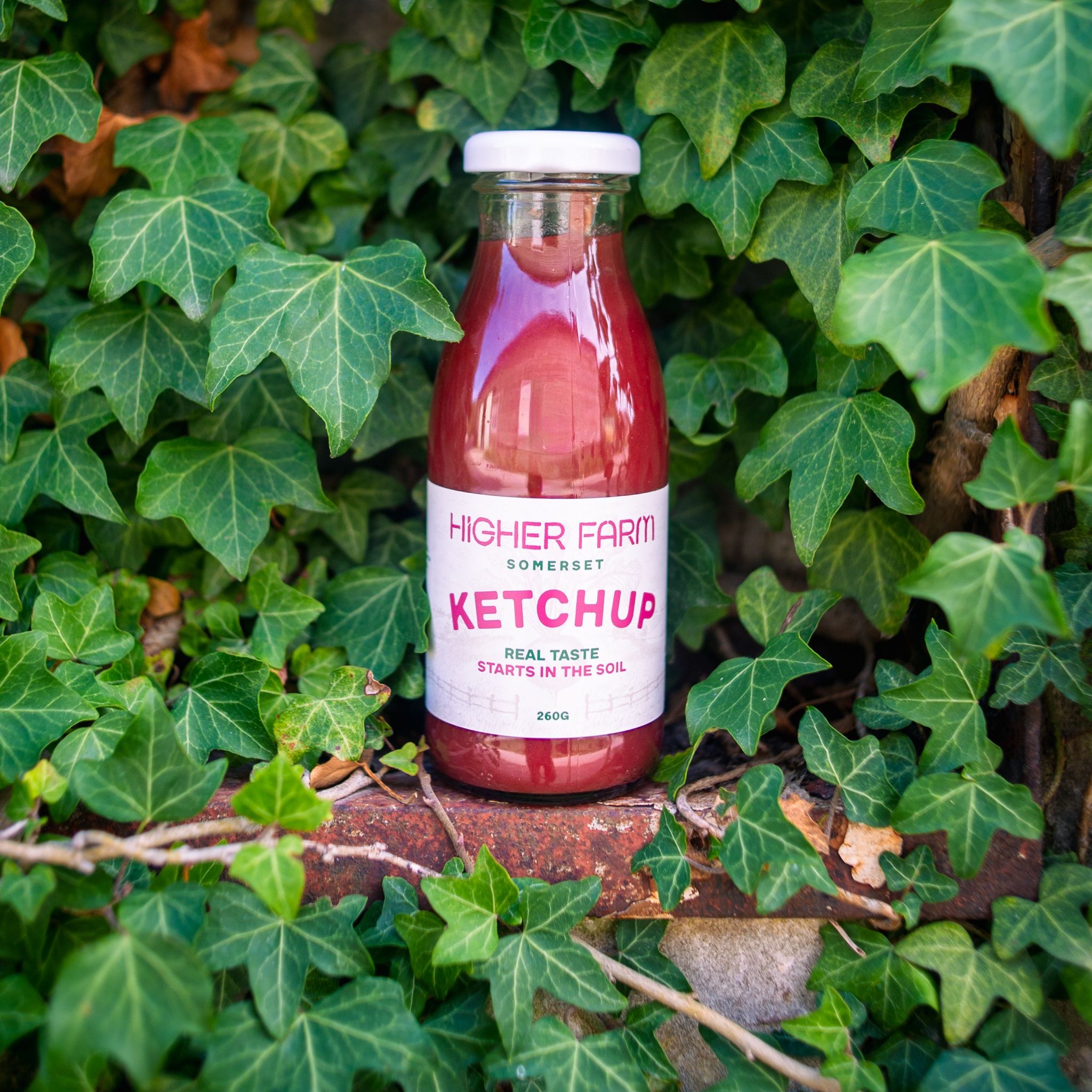 Image of Higher Farm Ketchup