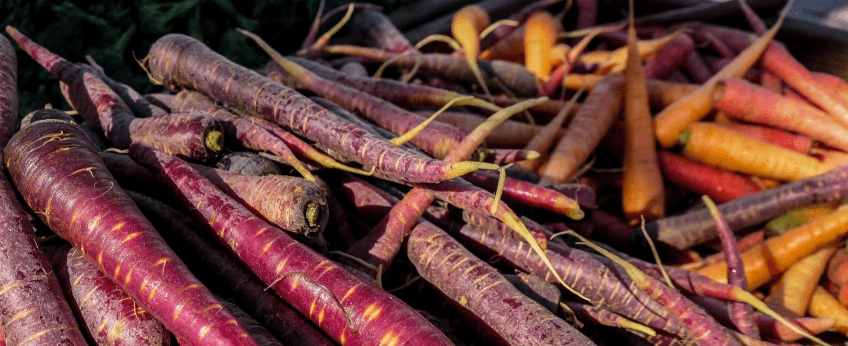 Image of Carrots, loose, rainbow