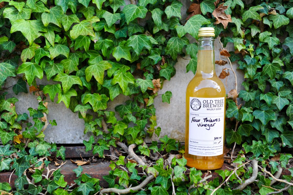 Image of Four Thieves Vinegar