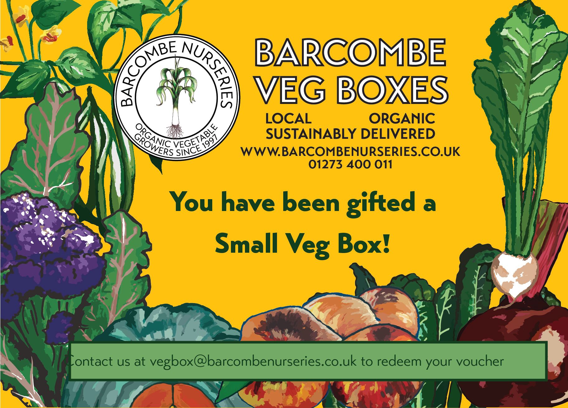 Gift a Small Veg Box