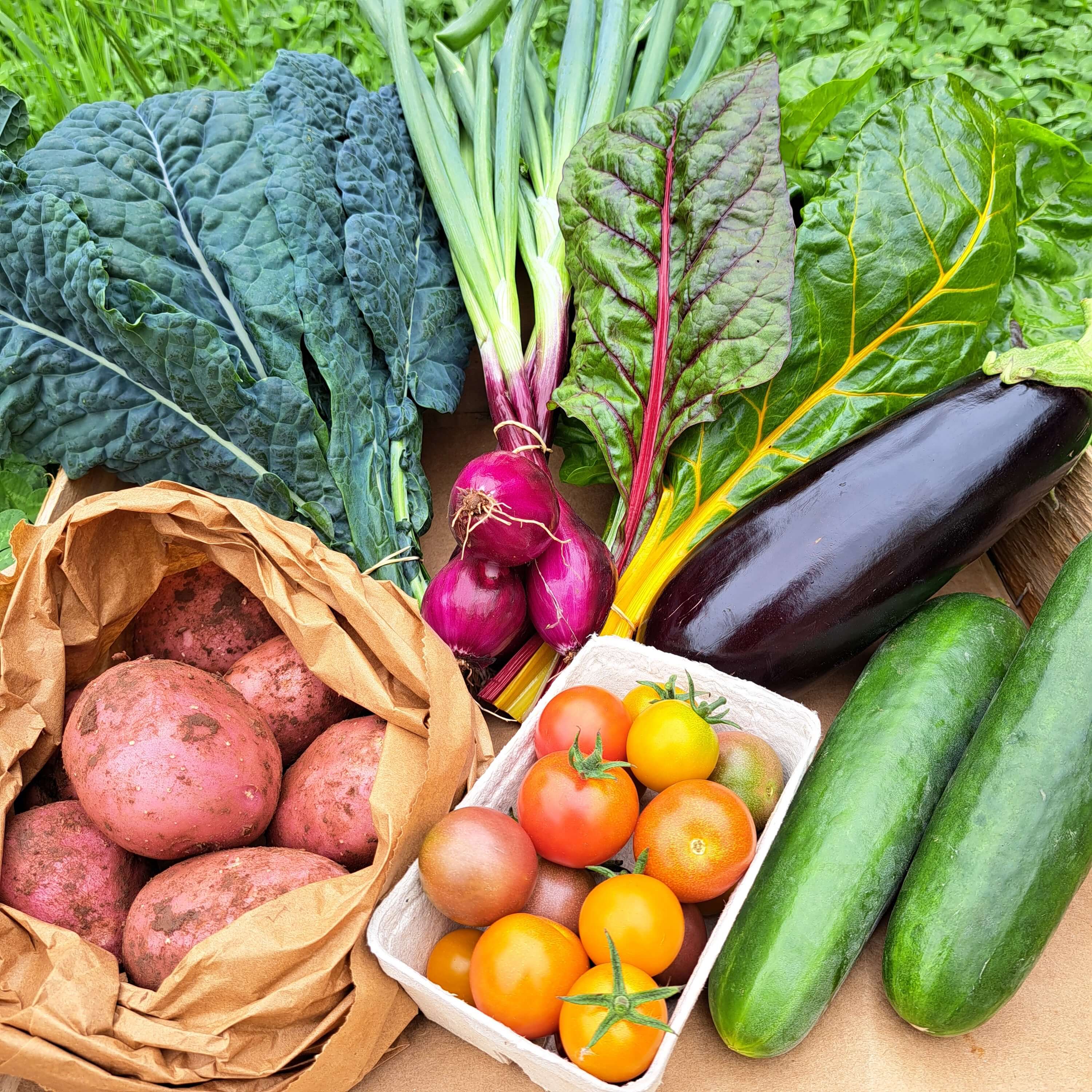 Regular Veg Box - 1-2 People