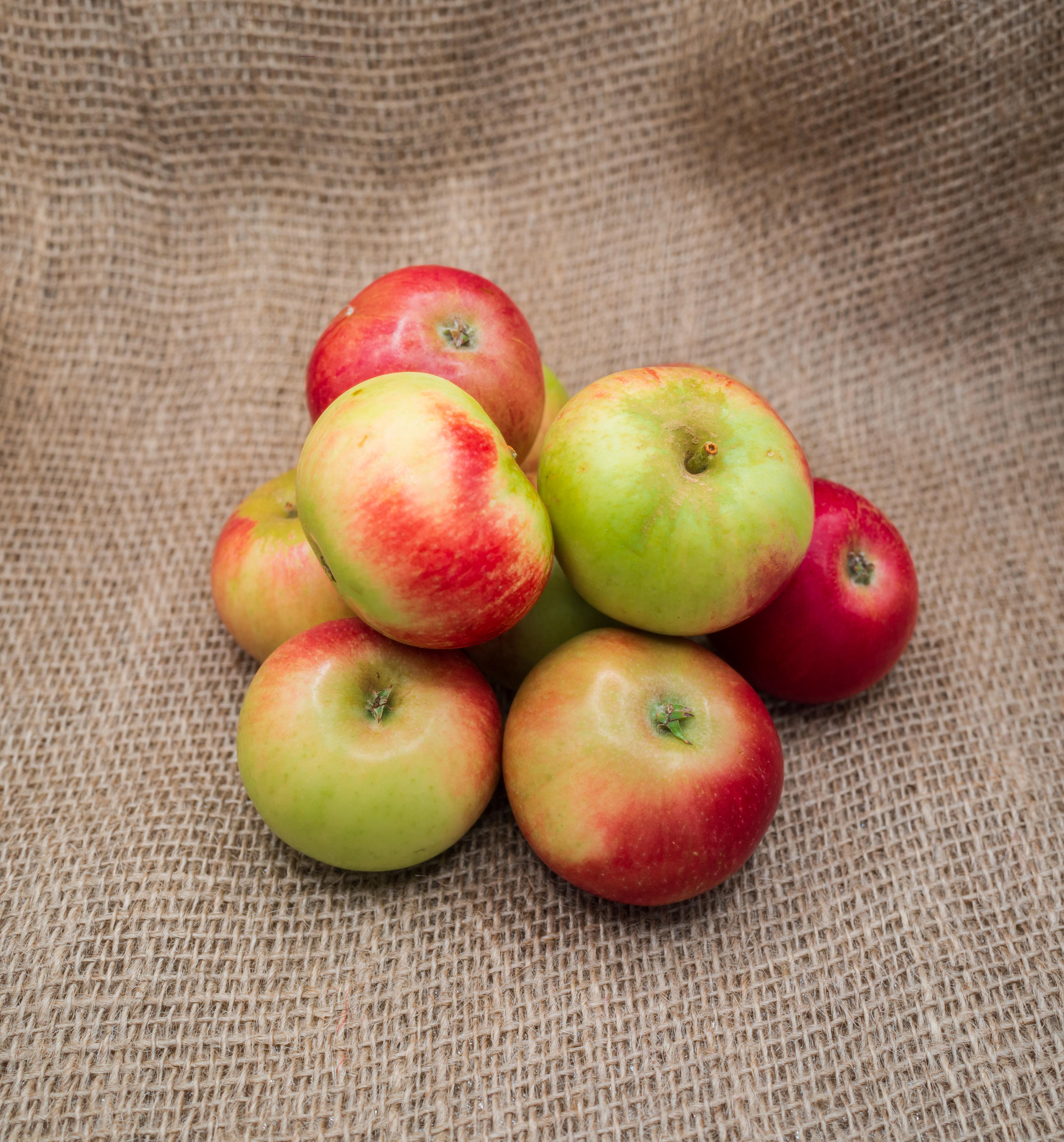 PYO Apples - Discovery
