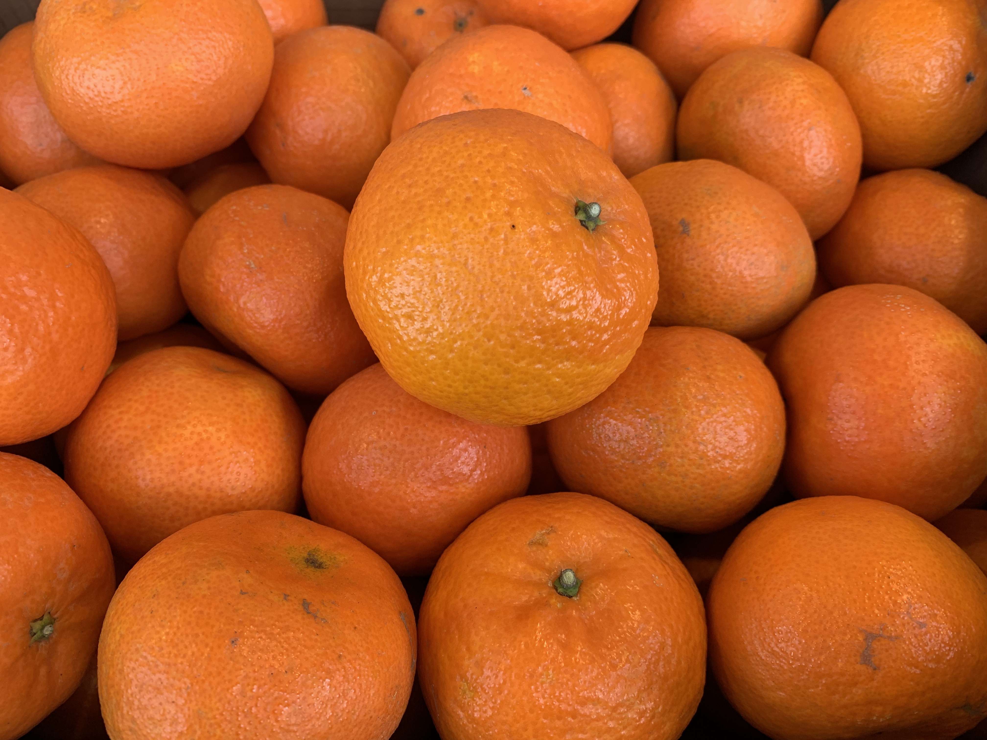 Clementines