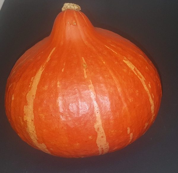 Hokkaido squash