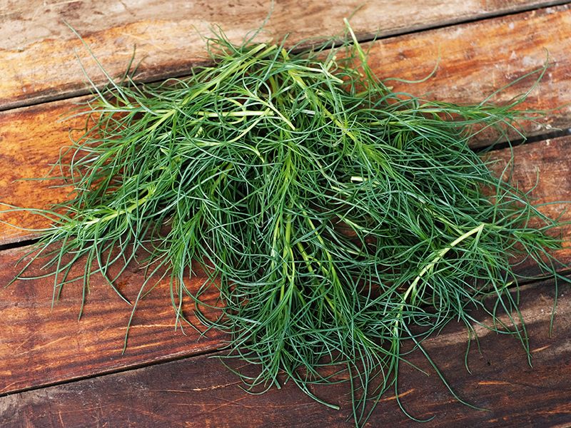 Image of Agretti