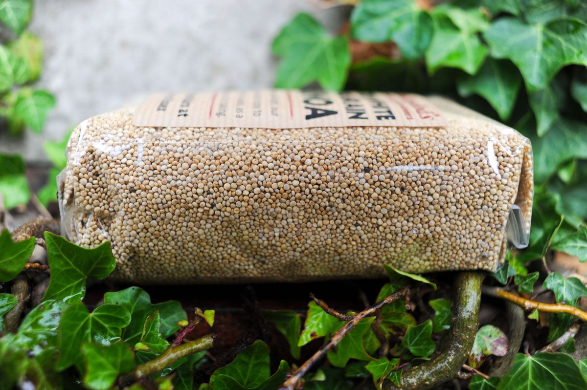 Image of British White Wholegrain Quinoa