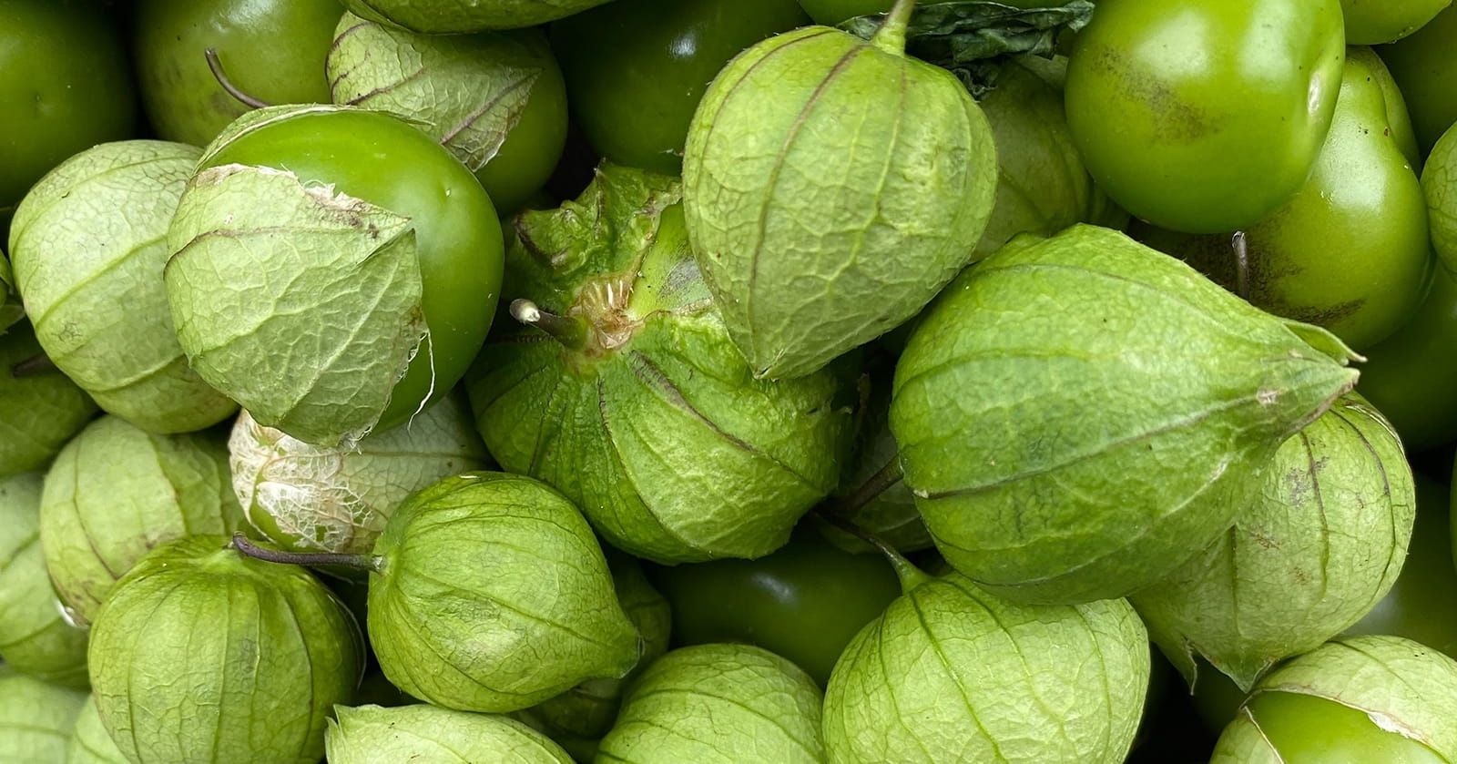 Image of Tomatillo (150g)