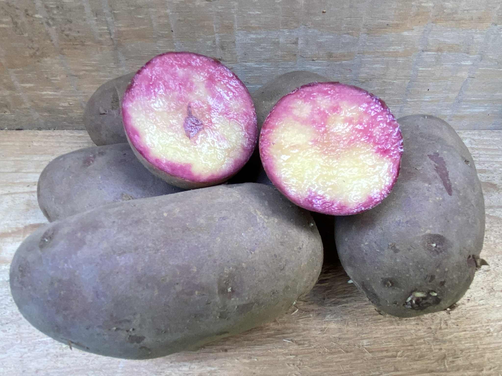 Potato - Red Heidi