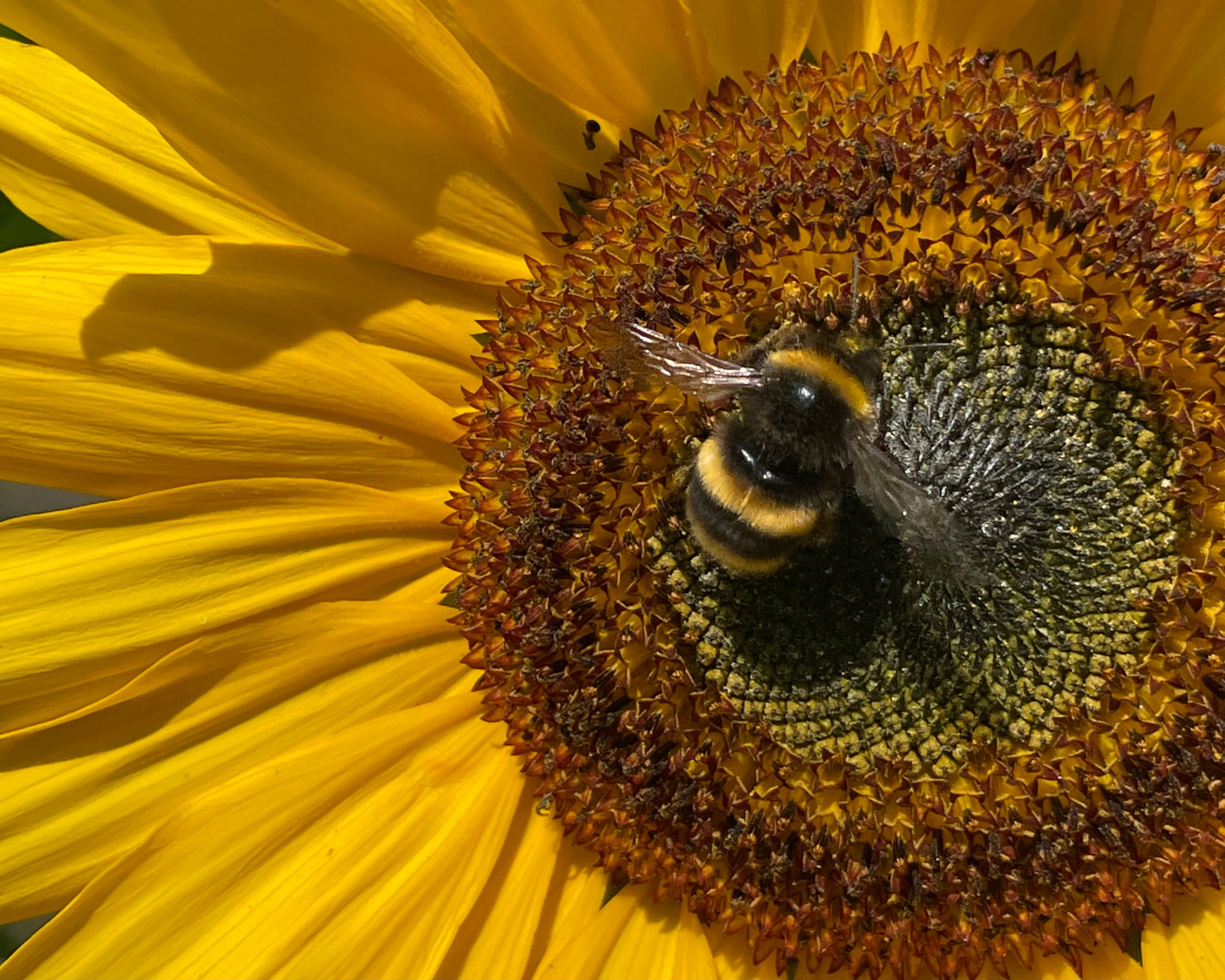 Image of Sandy Lane Farm