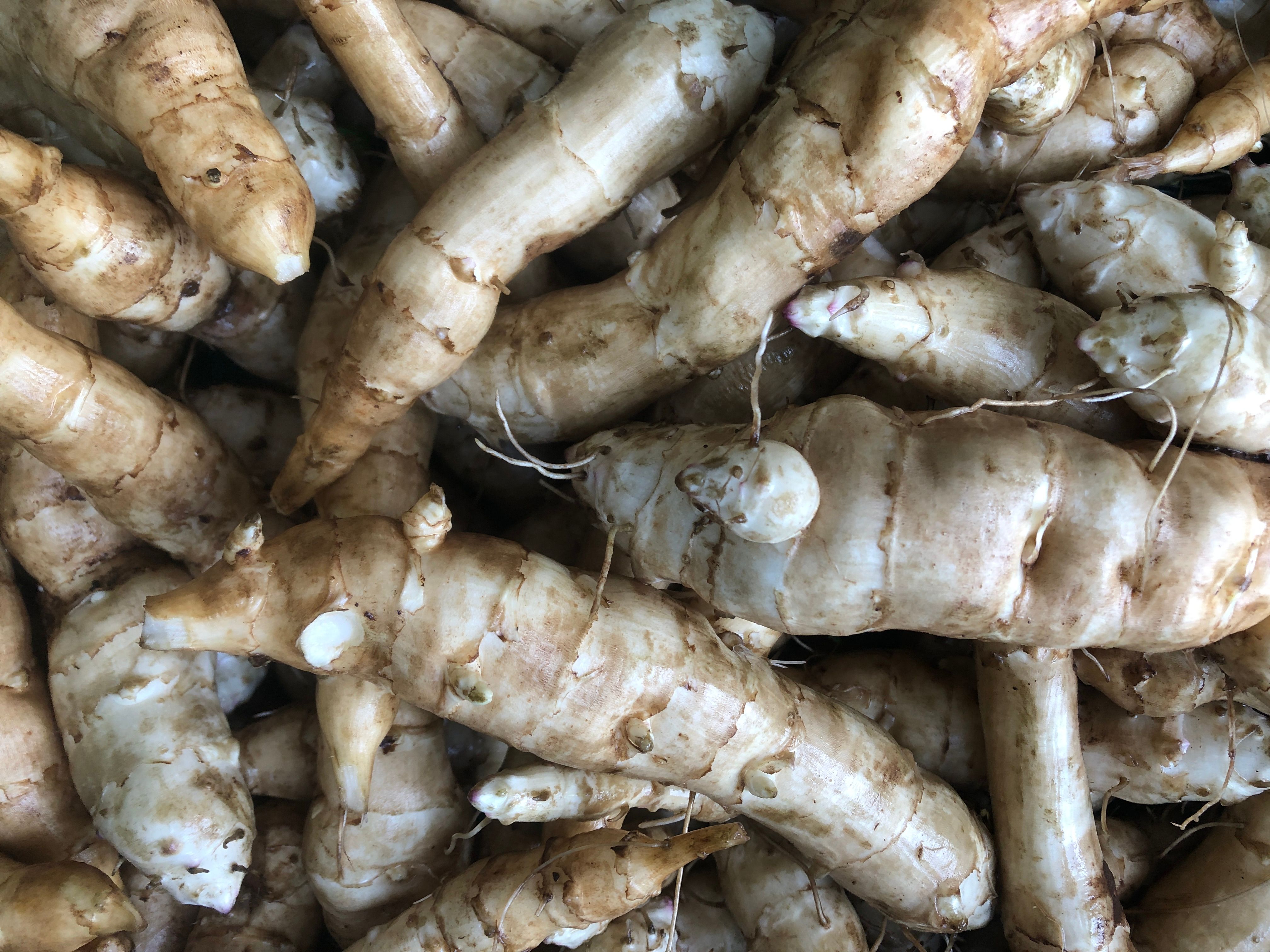 Image of Jerusalem Artichoke