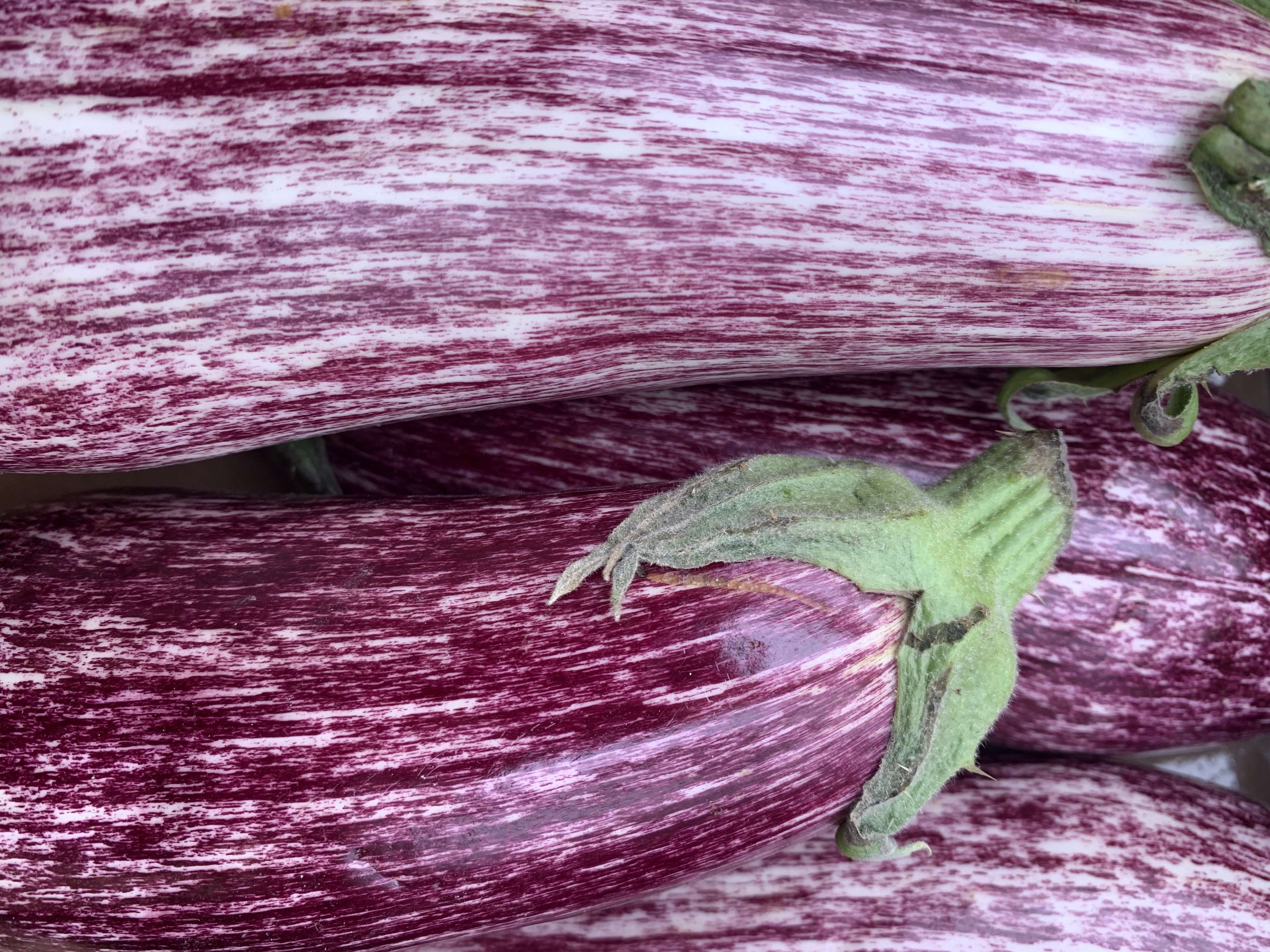 Aubergine (graffiti)