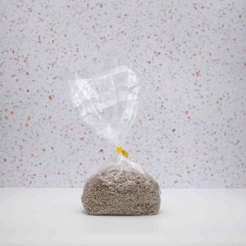 Organic Sunflower Seeds