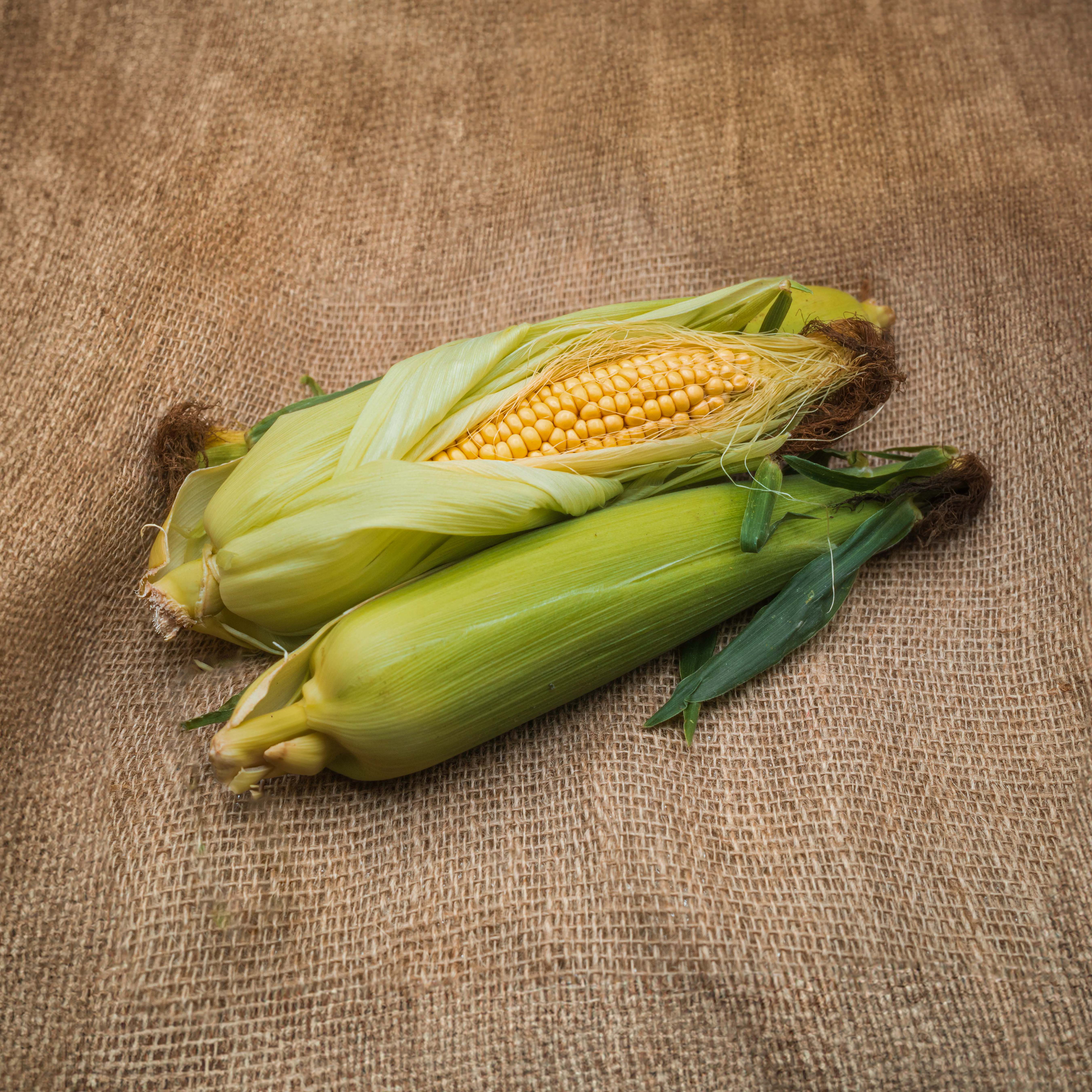 PYO Sweetcorn