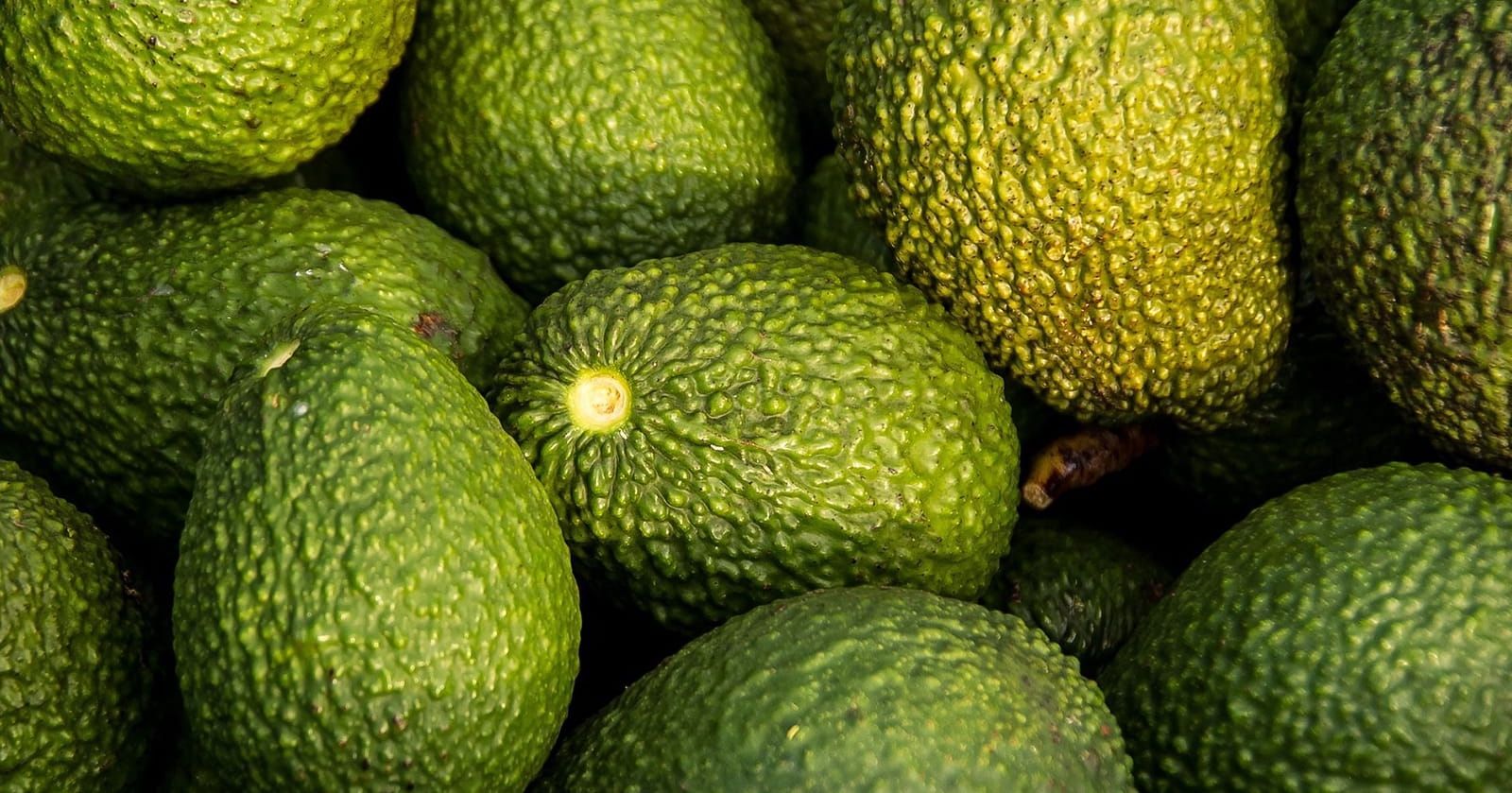 Image of Avocado
