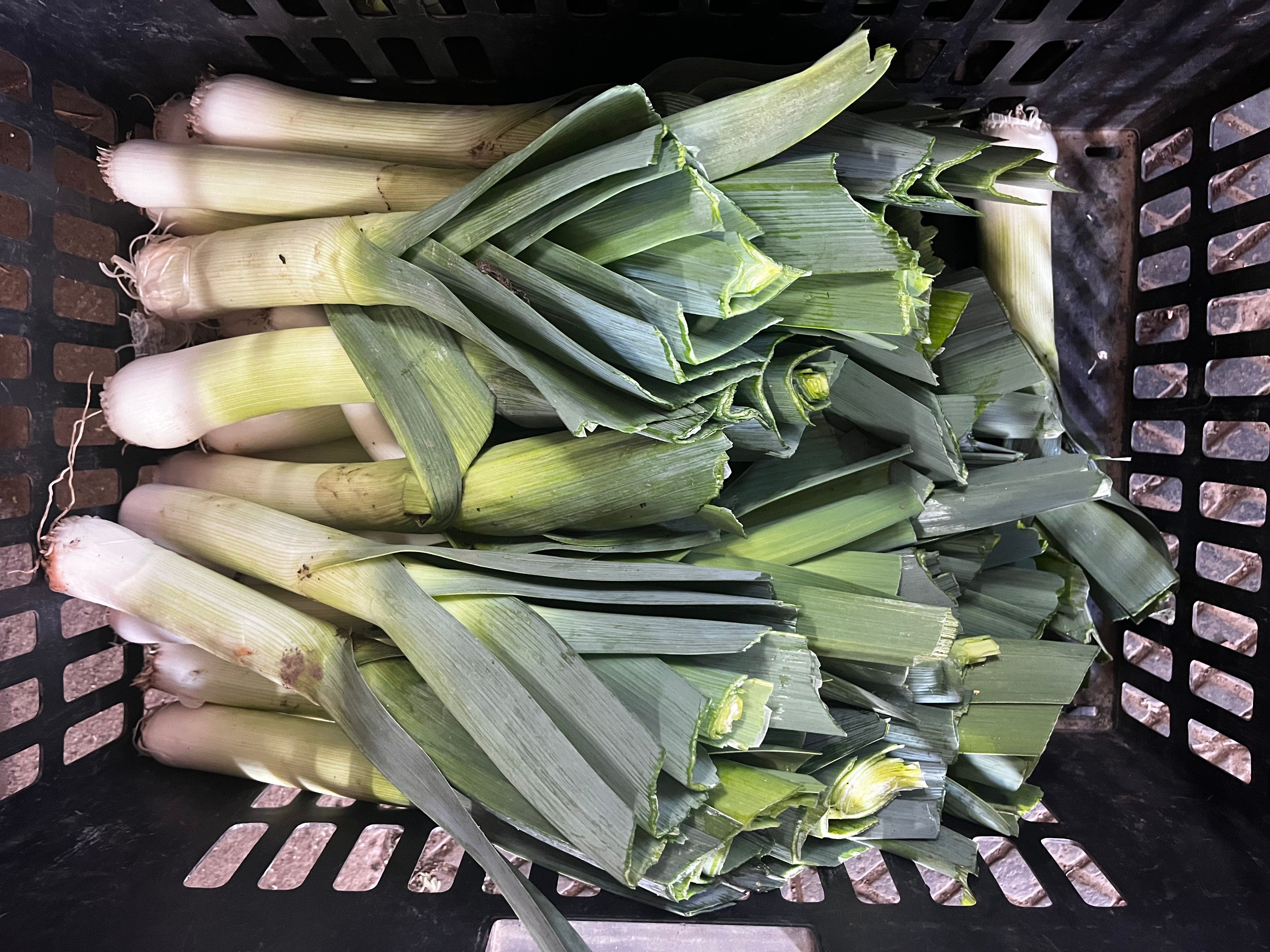 Image of Leeks