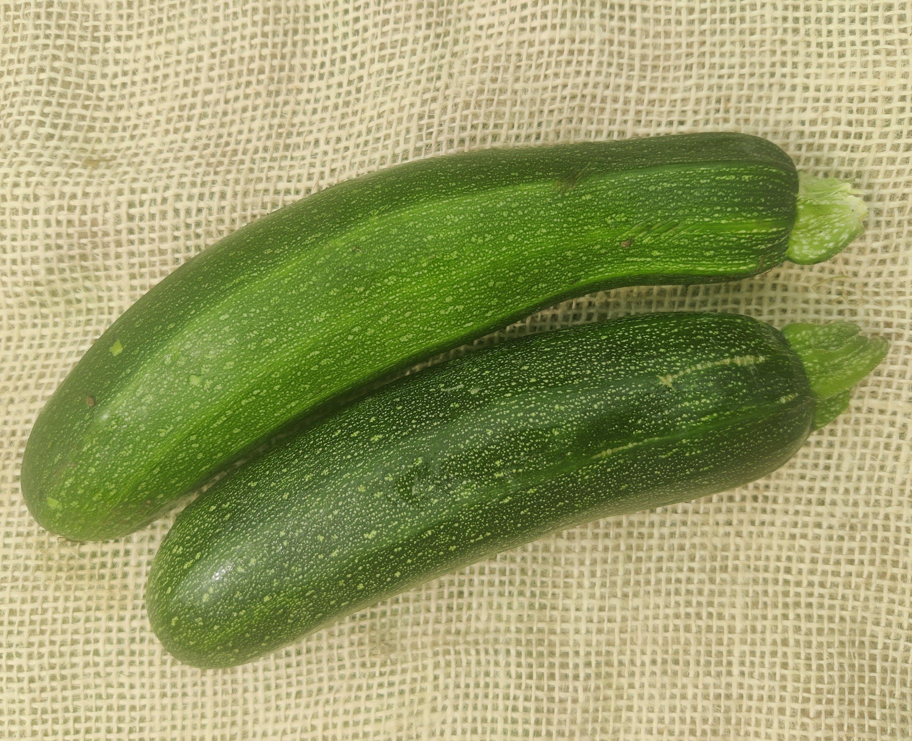 Courgette (Forty Hall Farm)